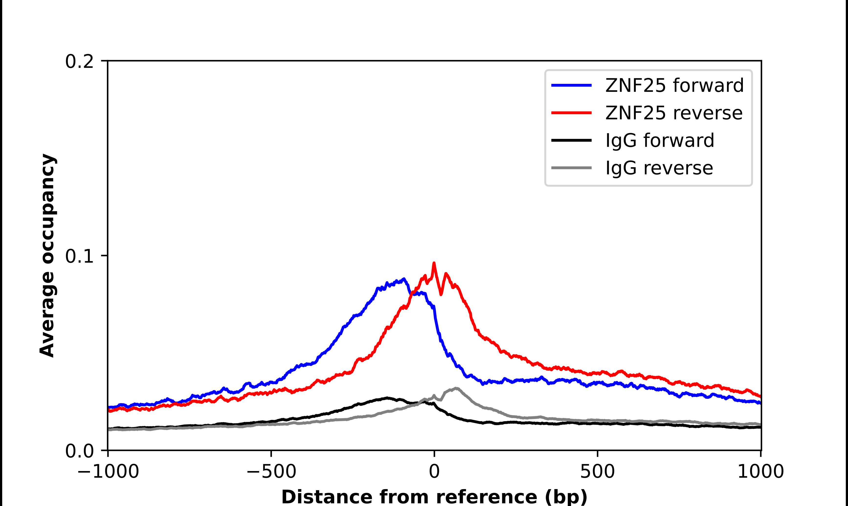 ZNF25 Antibody - BSA Free Chromatin Immunoprecipitation-exo-Seq: ZNF25 Antibody - BSA Free [NBP1-82013]