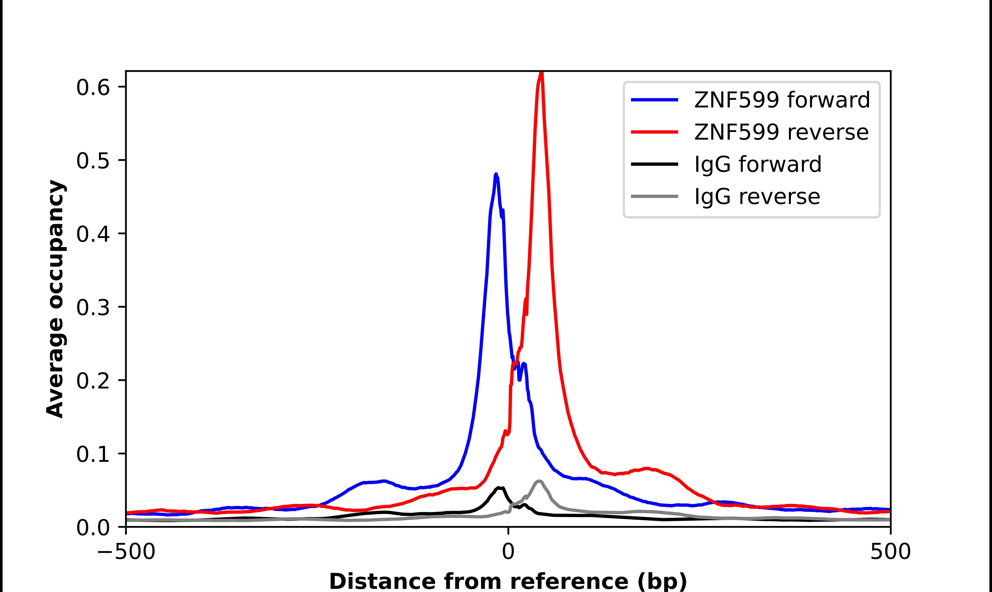 ZNF599 Antibody - BSA Free Chromatin Immunoprecipitation-exo-Seq: ZNF599 Antibody - BSA Free [NBP1-82038]