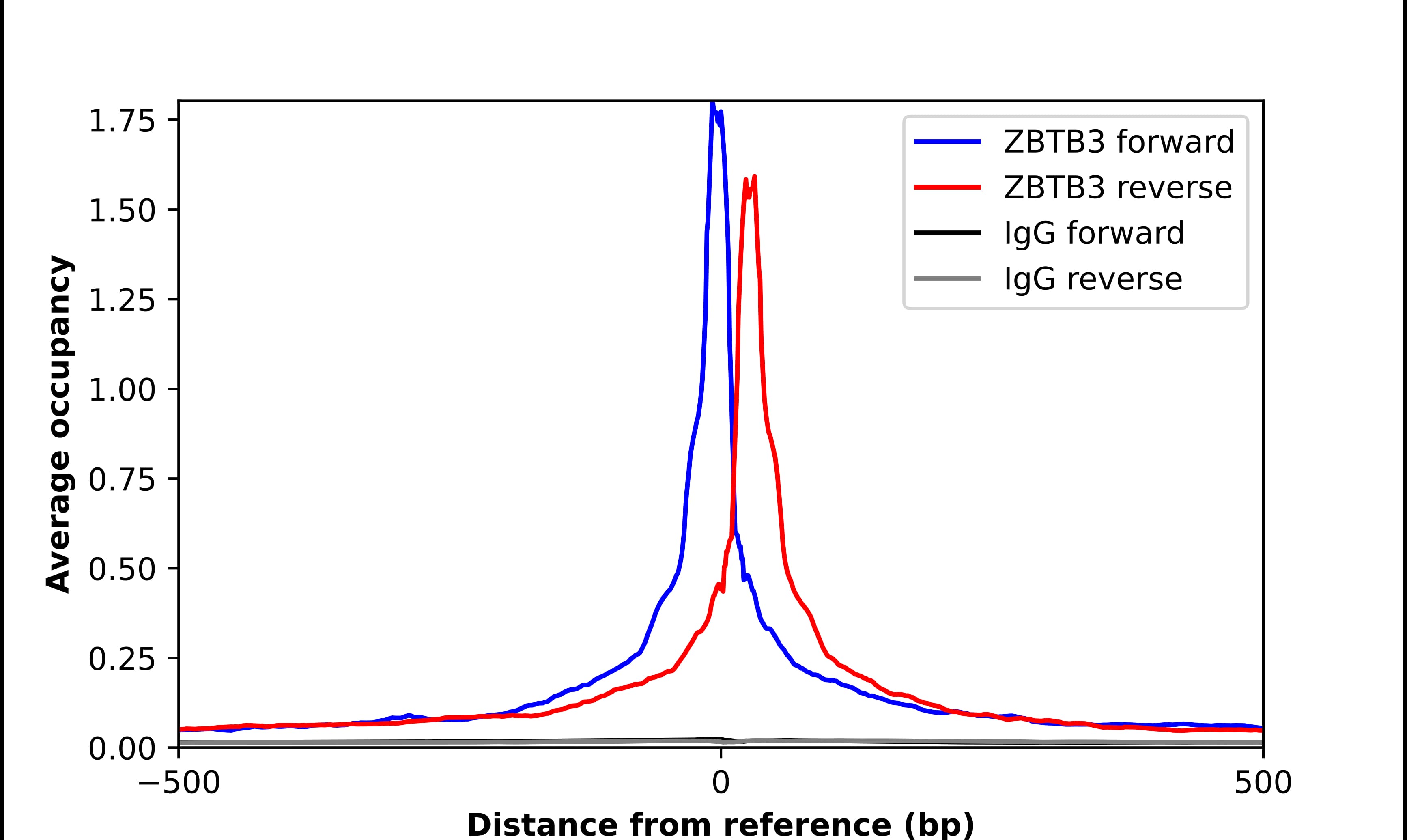 ZBTB3 Antibody - BSA Free Chromatin Immunoprecipitation ChIP: ZBTB3 Antibody - BSA Free