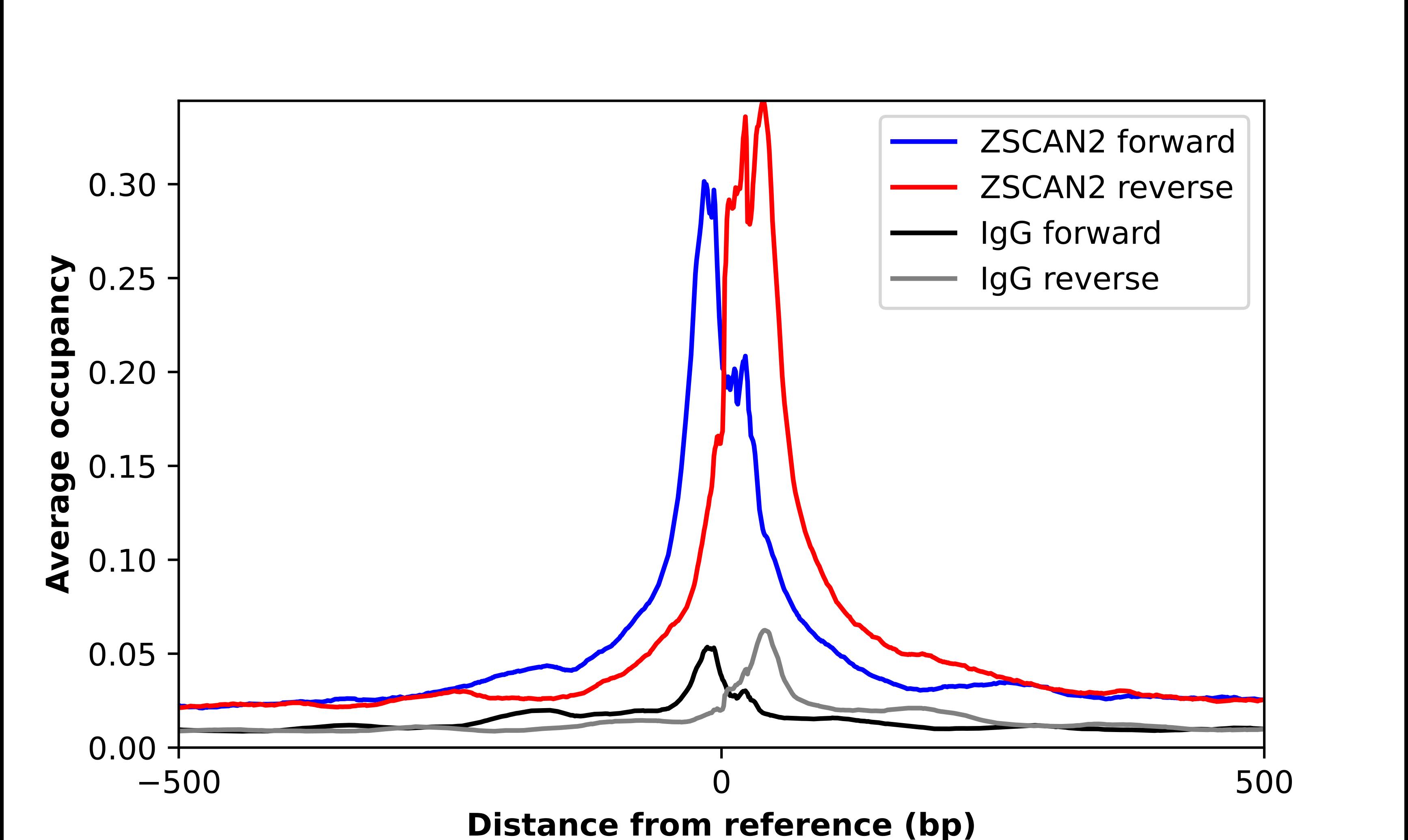 ZSCAN2 Antibody - BSA Free Chromatin Immunoprecipitation-exo-Seq: ZSCAN2 Antibody - BSA Free [NBP1-82169]
