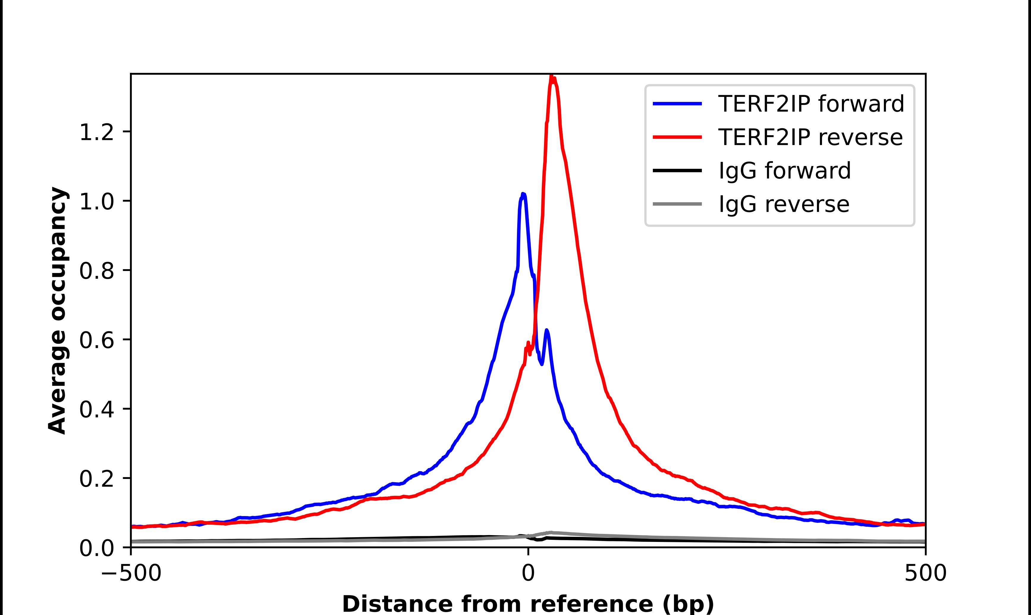 TERF2IP Antibody - BSA Free Chromatin Immunoprecipitation-exo-Seq: TERF2IP Antibody - BSA Free [NBP1-82433]