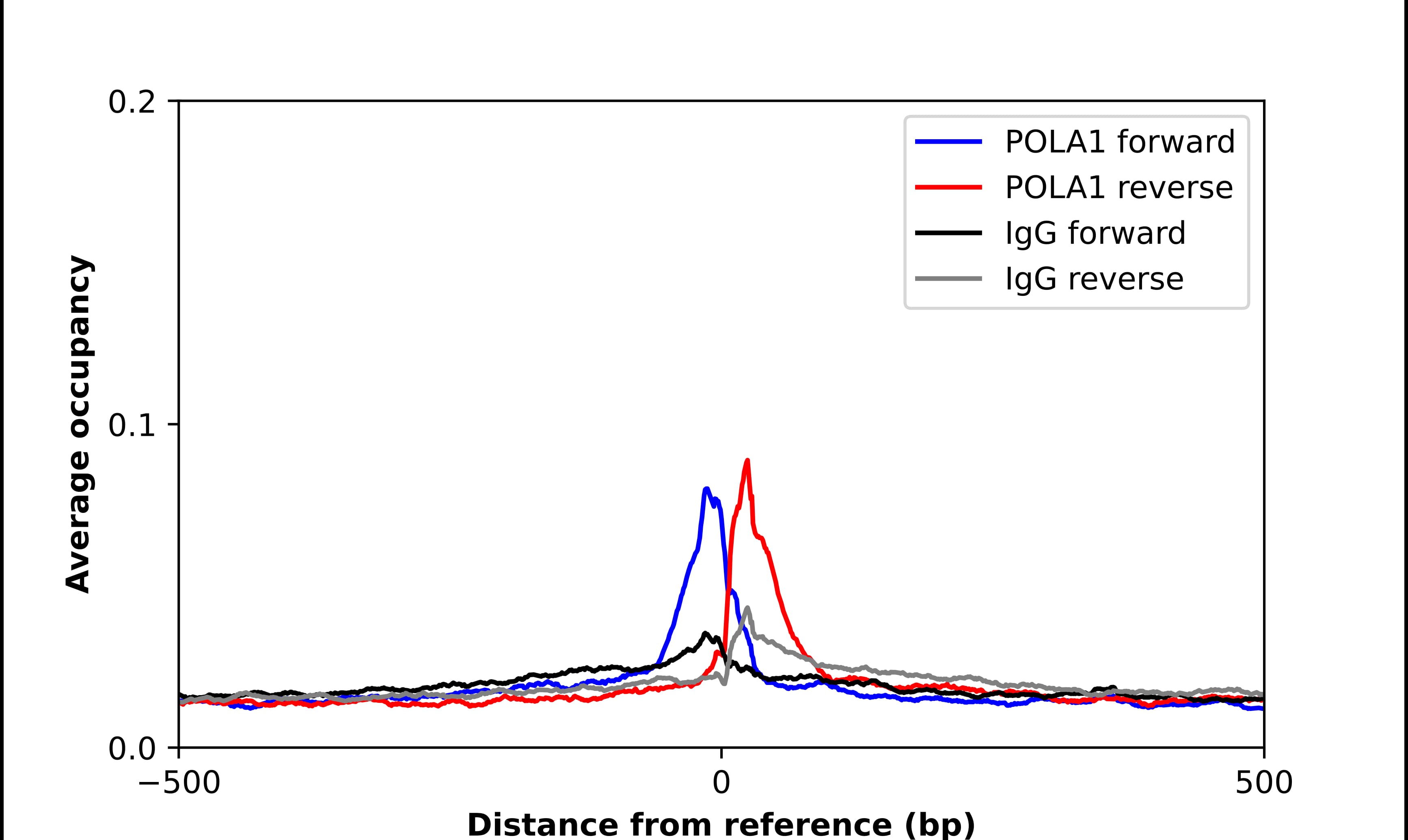 DNA polymerase alpha Antibody - BSA Free Chromatin Immunoprecipitation ChIP: DNA polymerase alpha Antibody - BSA Free