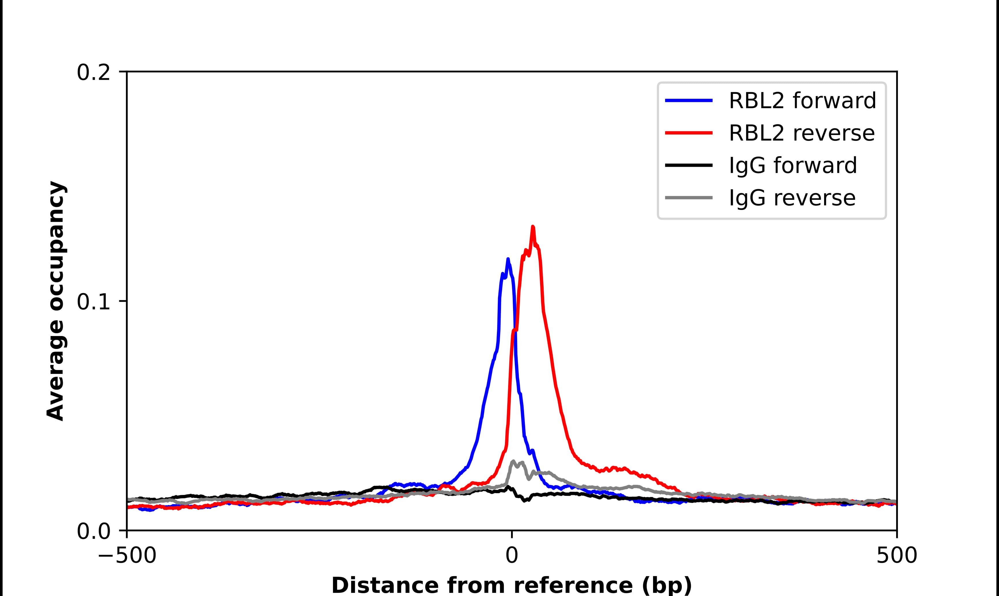 p130 Antibody - BSA Free Chromatin Immunoprecipitation ChIP: p130 Antibody - BSA Free