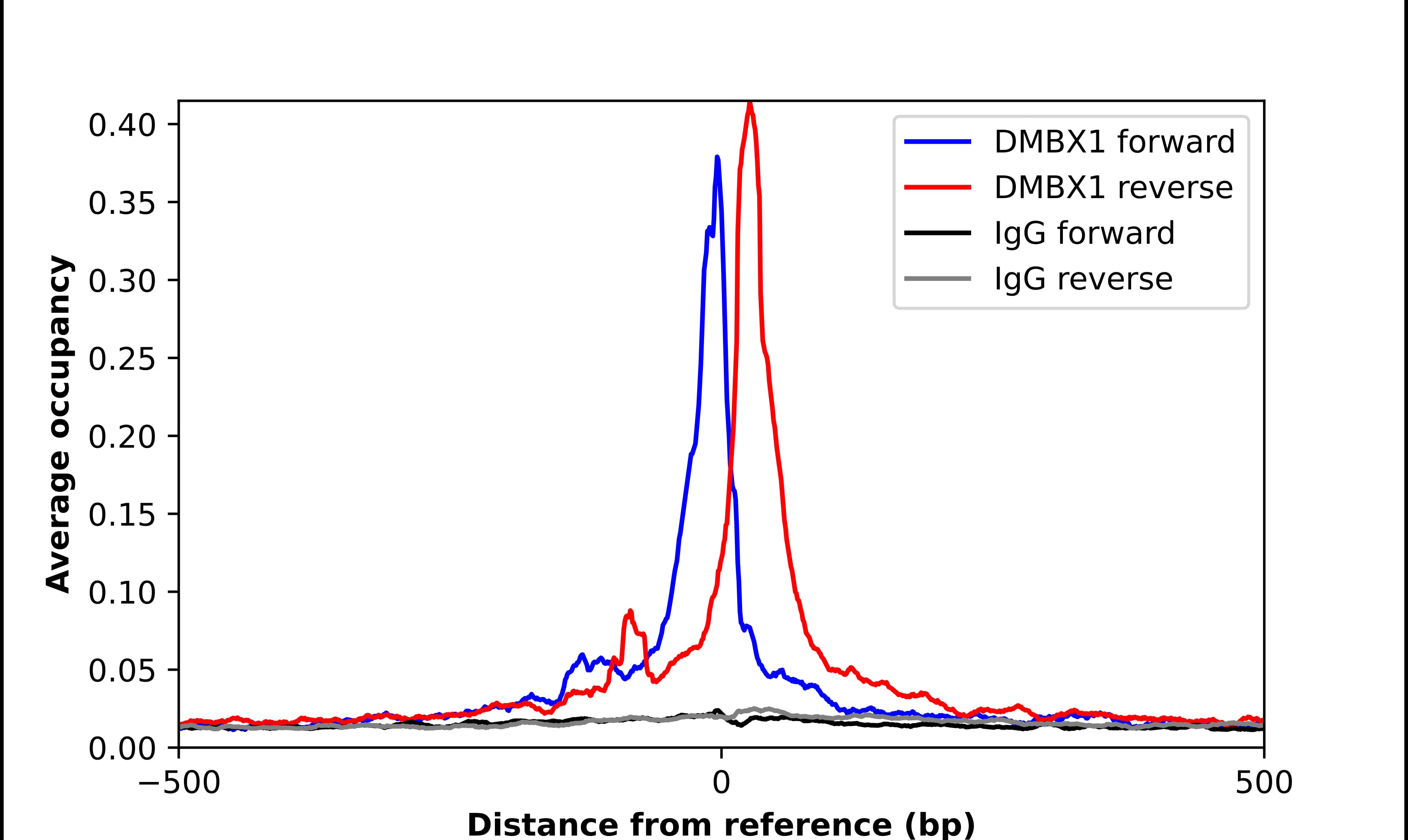 OTX3 Antibody - BSA Free Chromatin Immunoprecipitation ChIP: OTX3 Antibody - BSA Free