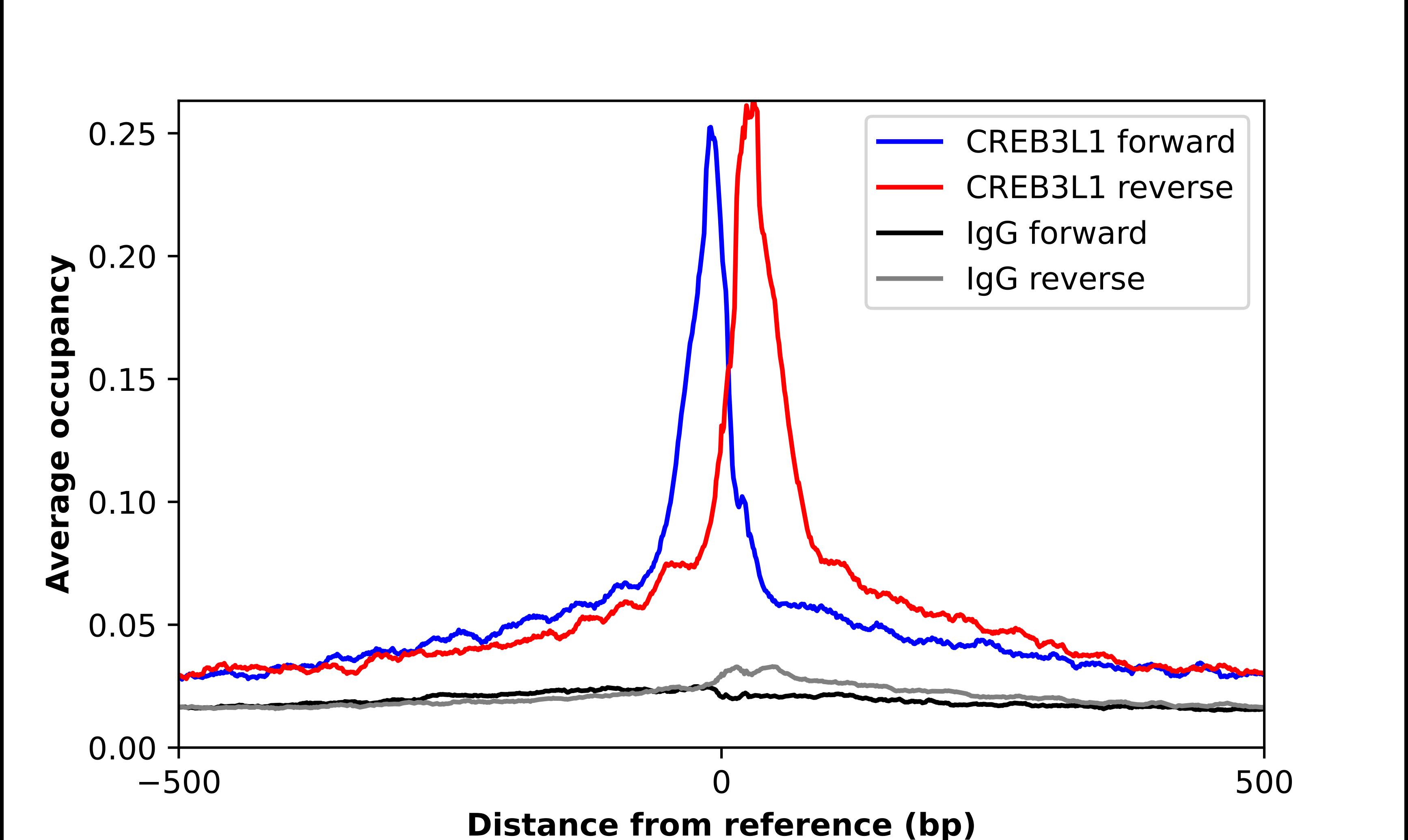 OASIS/CREB3L1 Antibody - BSA Free Chromatin Immunoprecipitation-exo-Seq: OASIS/CREB3L1 Antibody - BSA Free [NBP1-82503]