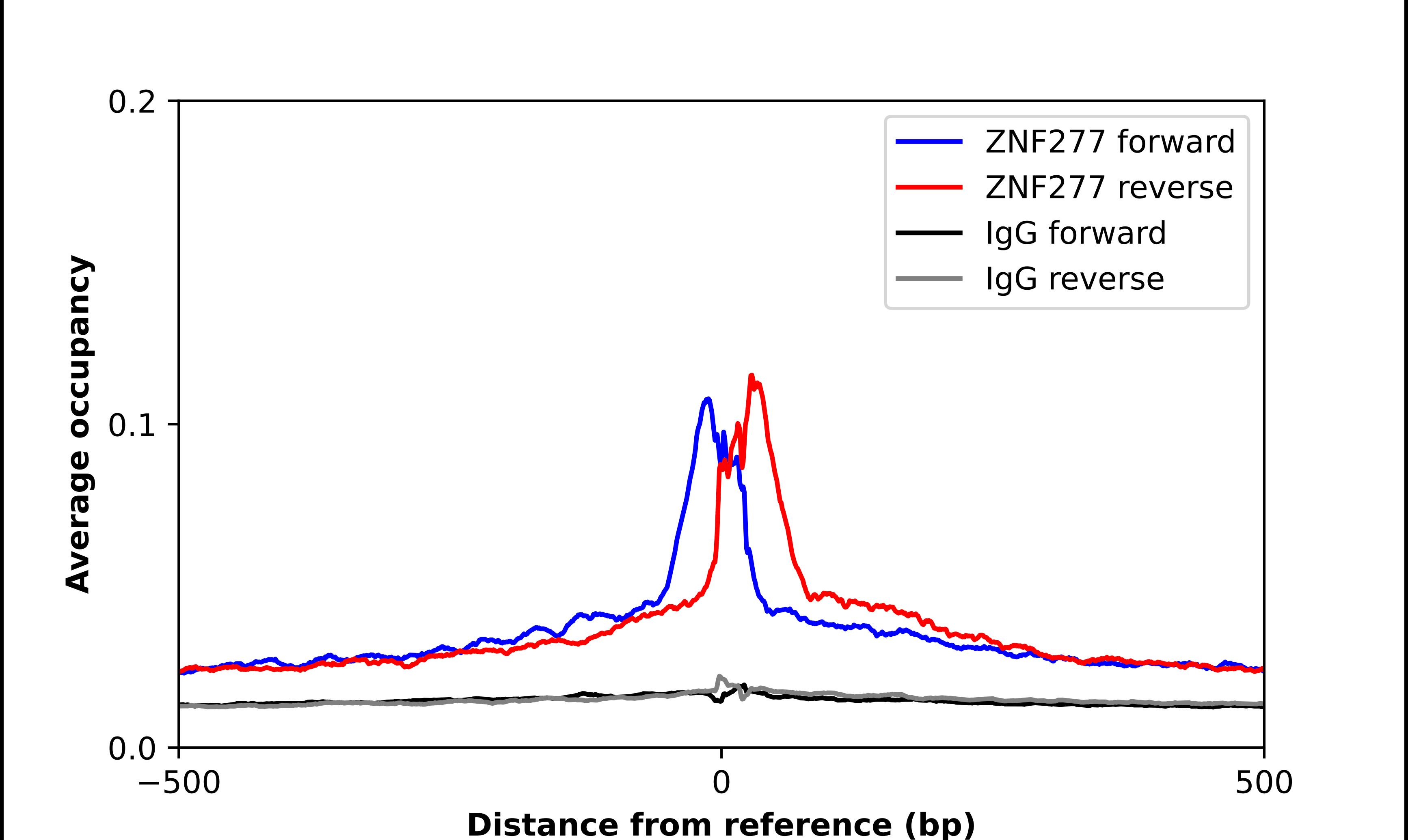ZNF277 Antibody - BSA Free Chromatin Immunoprecipitation-exo-Seq: ZNF277 Antibody - BSA Free [NBP1-82529]