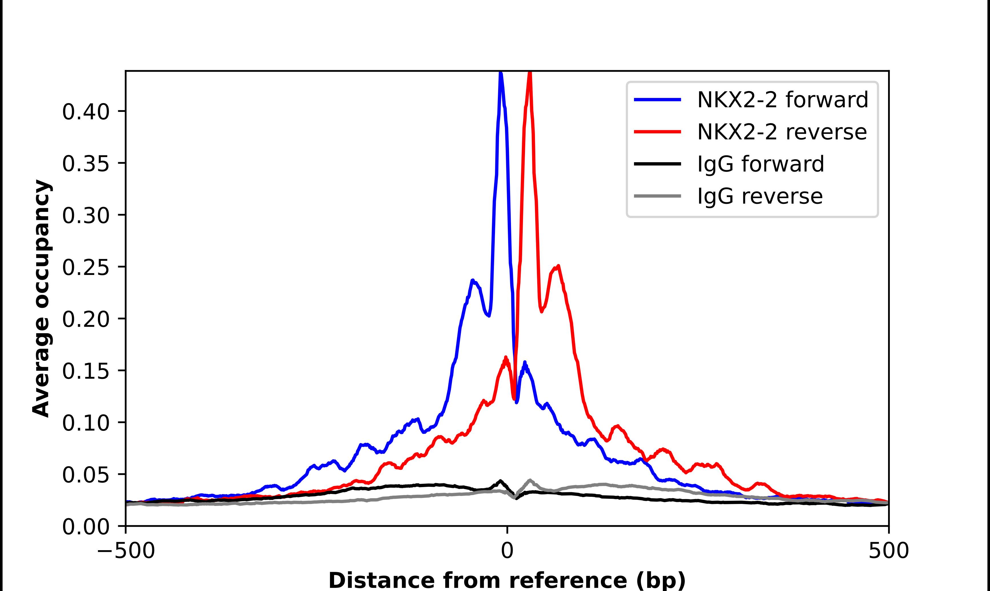NKX2.2 Antibody - BSA Free Chromatin Immunoprecipitation ChIP: NKX2.2 Antibody - BSA Free