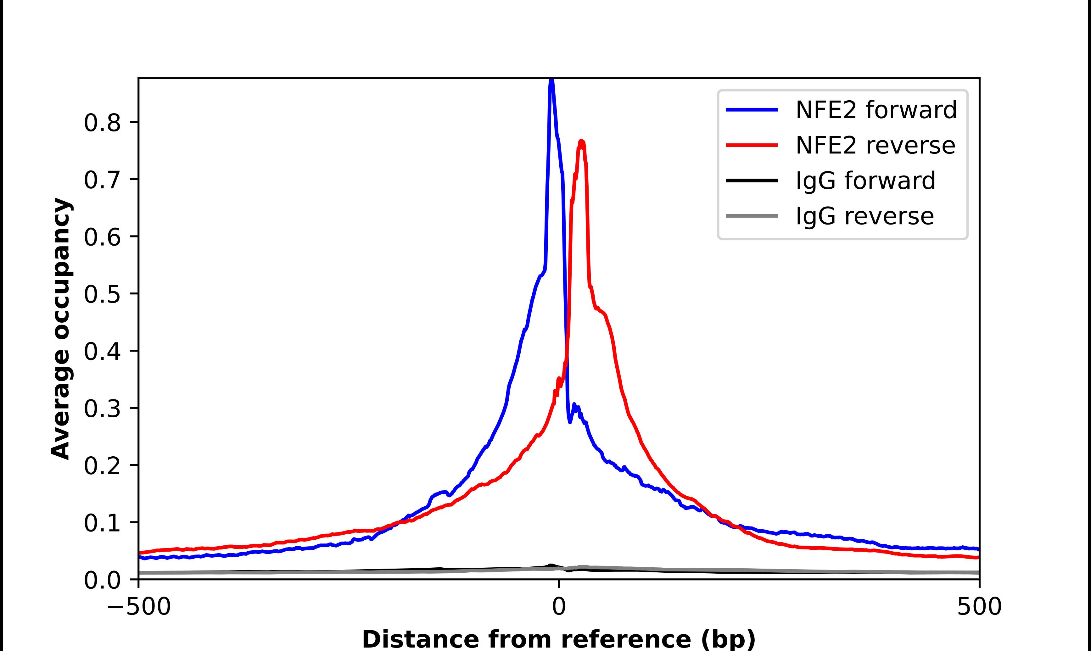Nuclear Factor Erythroid Derived 2 Antibody - BSA Free Chromatin Immunoprecipitation-exo-Seq: Nuclear Factor Erythroid Derived 2 Antibody - BSA Free [NBP1-82580]