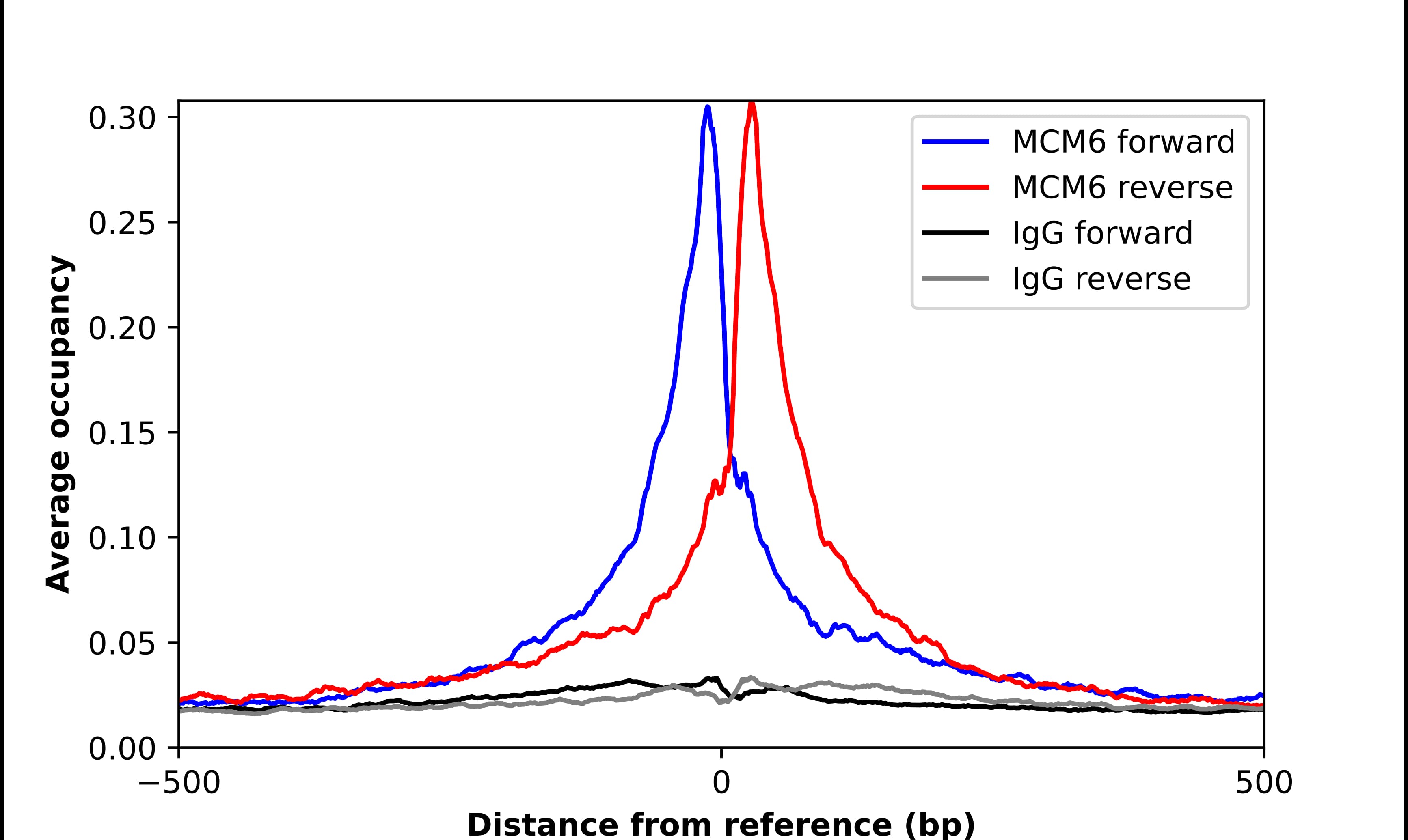 MCM6 Antibody - BSA Free Chromatin Immunoprecipitation-exo-Seq: MCM6 Antibody - BSA Free [NBP1-82642]