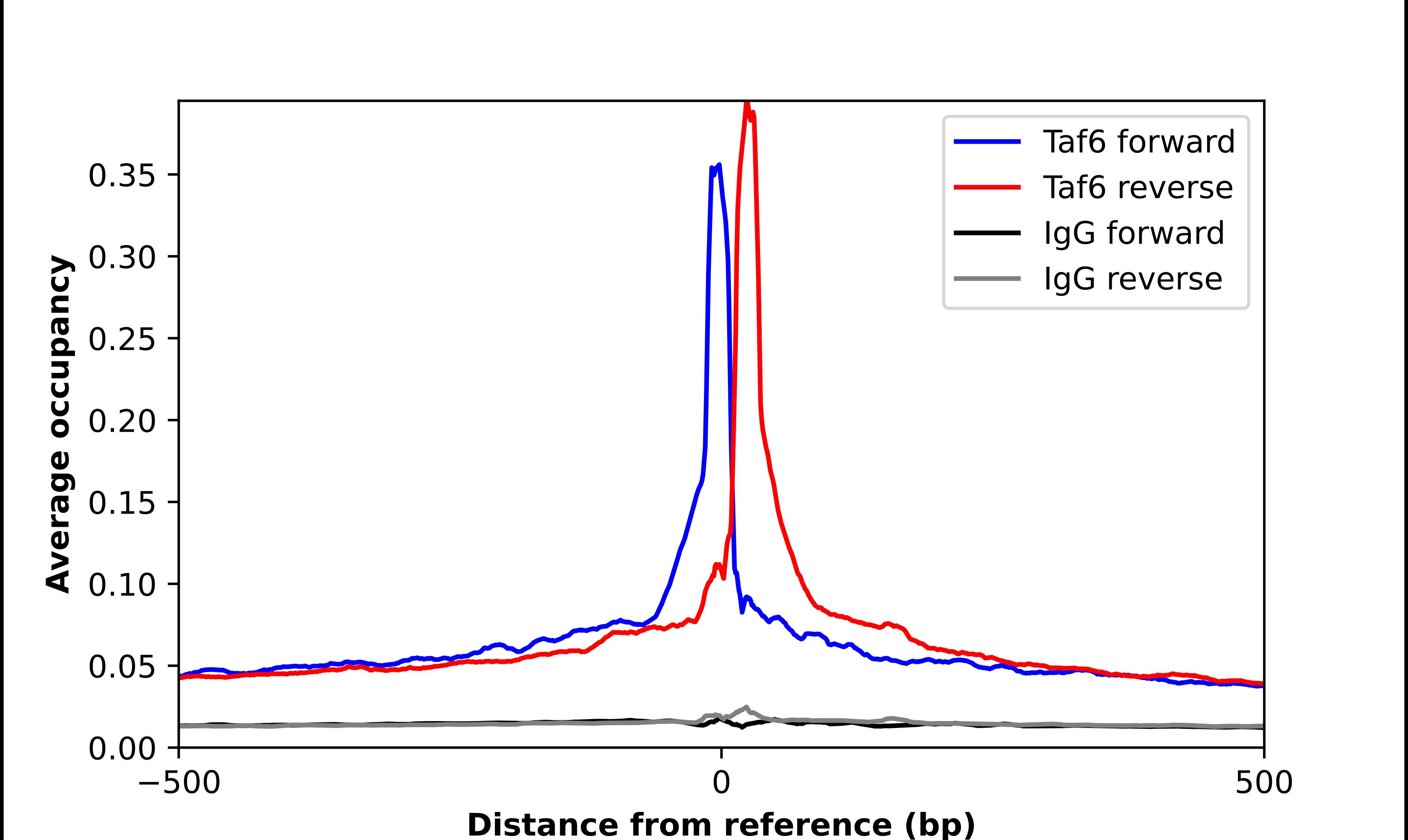 TAF6 Antibody - BSA Free Chromatin Immunoprecipitation-exo-Seq: TAF6 Antibody - BSA Free [NBP1-82774]