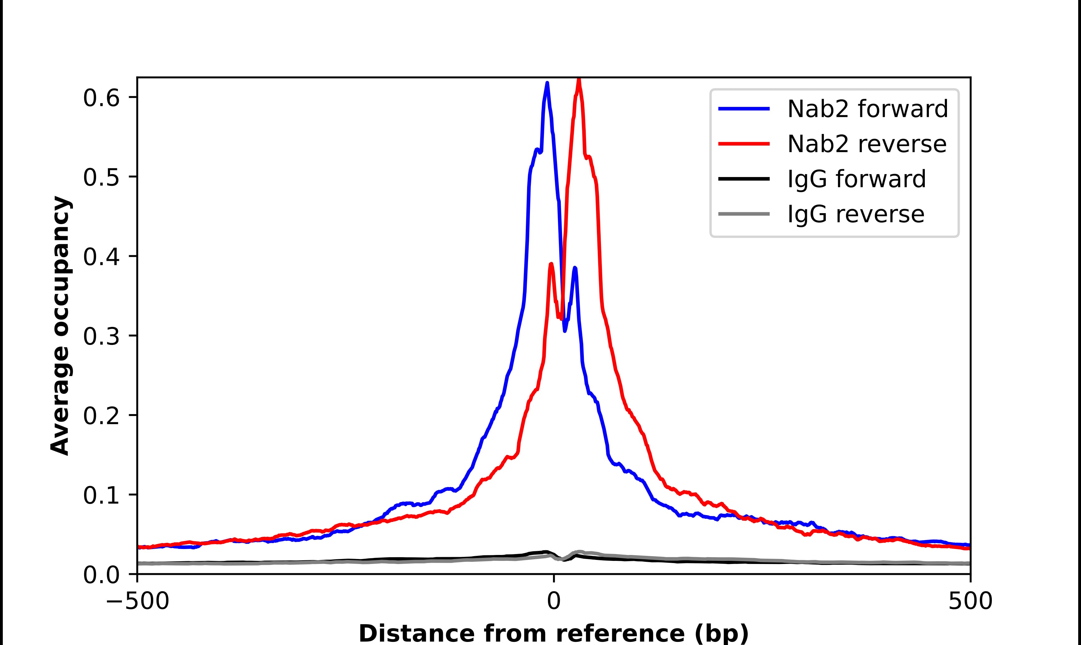 Nab2 Antibody - BSA Free Chromatin Immunoprecipitation-exo-Seq: Nab2 Antibody - BSA Free [NBP1-82804]