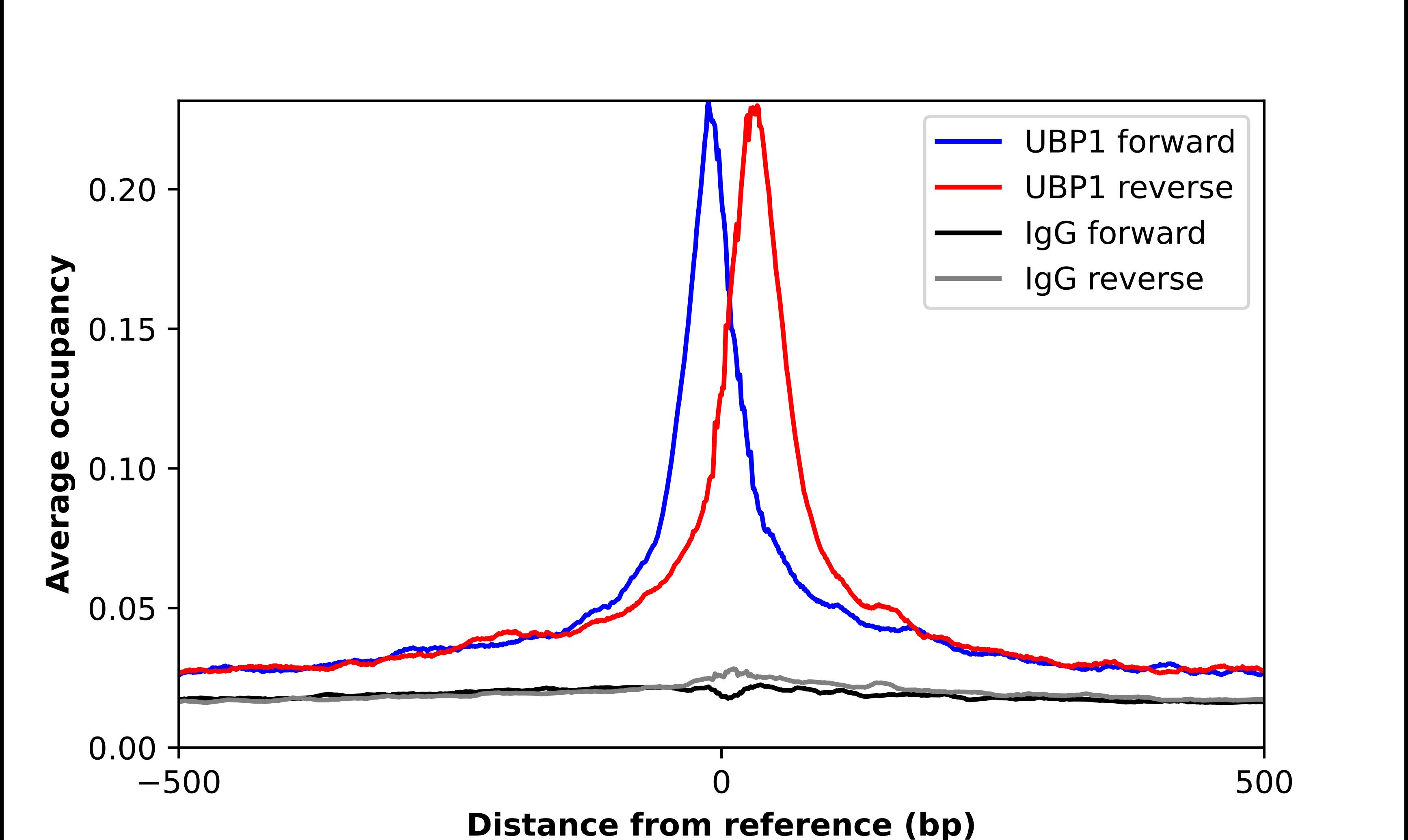 UBP1 Antibody - BSA Free Chromatin Immunoprecipitation-exo-Seq: UBP1 Antibody - BSA Free [NBP1-82842]