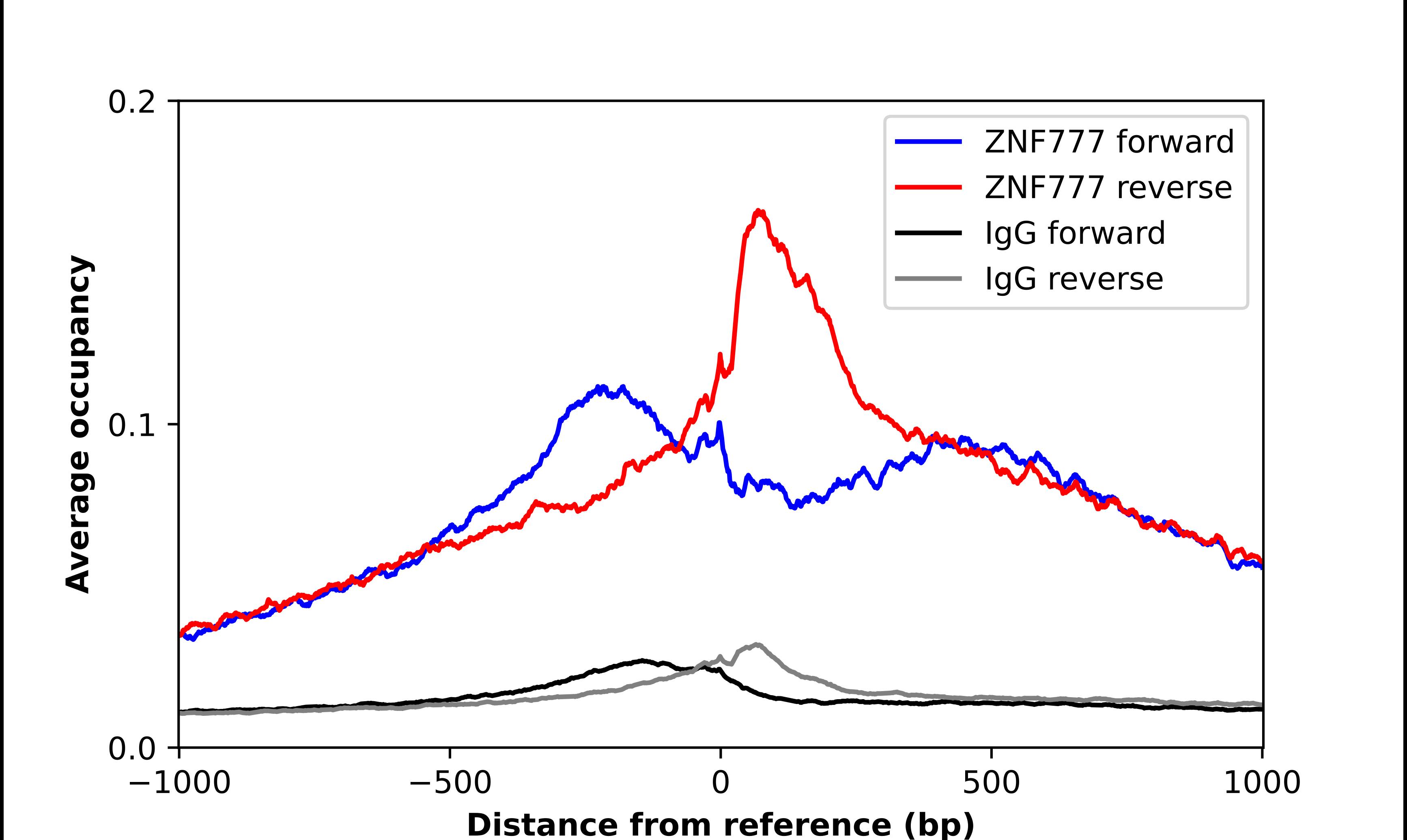 ZNF777 Antibody - BSA Free Chromatin Immunoprecipitation-exo-Seq: ZNF777 Antibody - BSA Free [NBP1-82918]