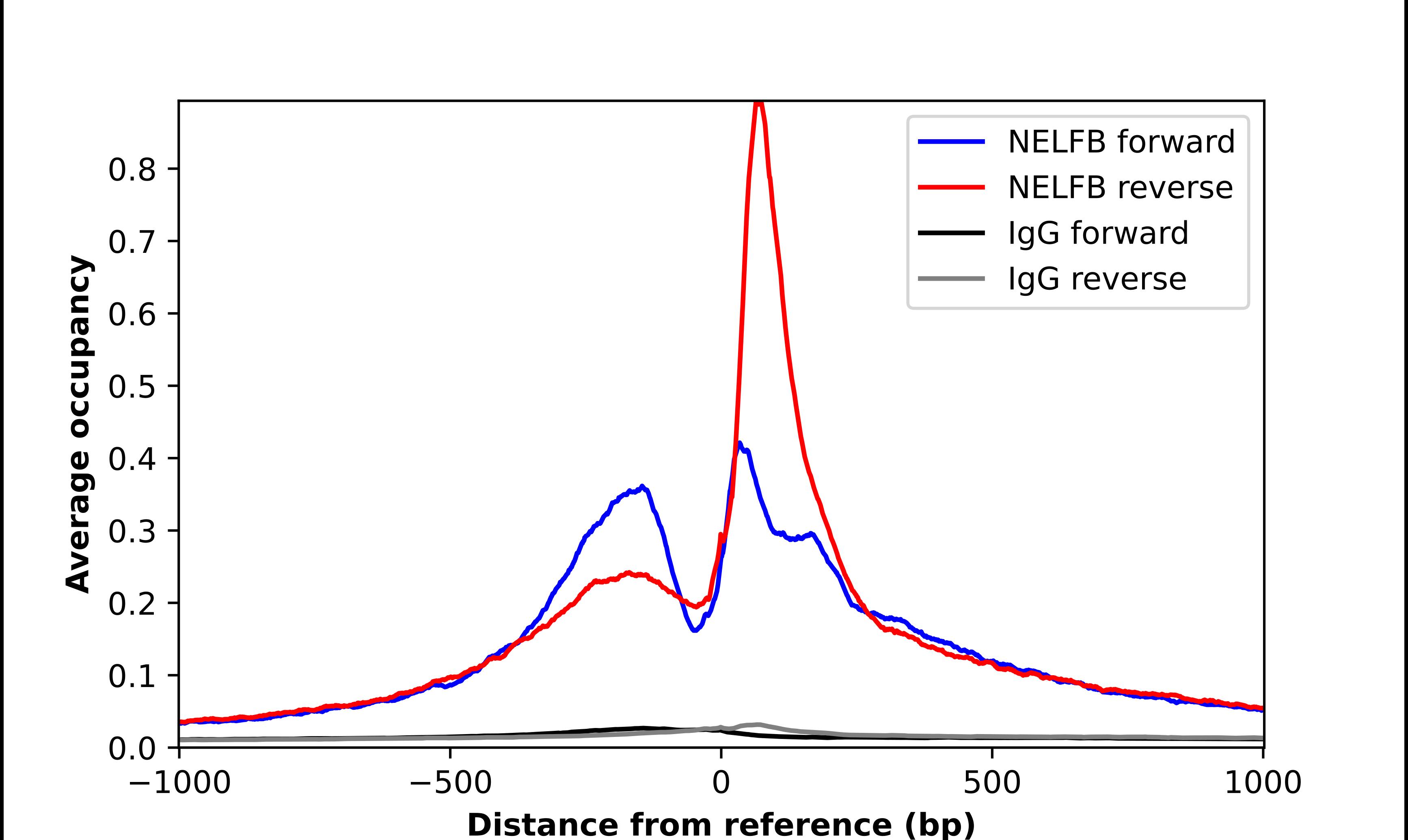 COBRA1 Antibody - BSA Free Chromatin Immunoprecipitation-exo-Seq: COBRA1 Antibody - BSA Free [NBP1-82924]