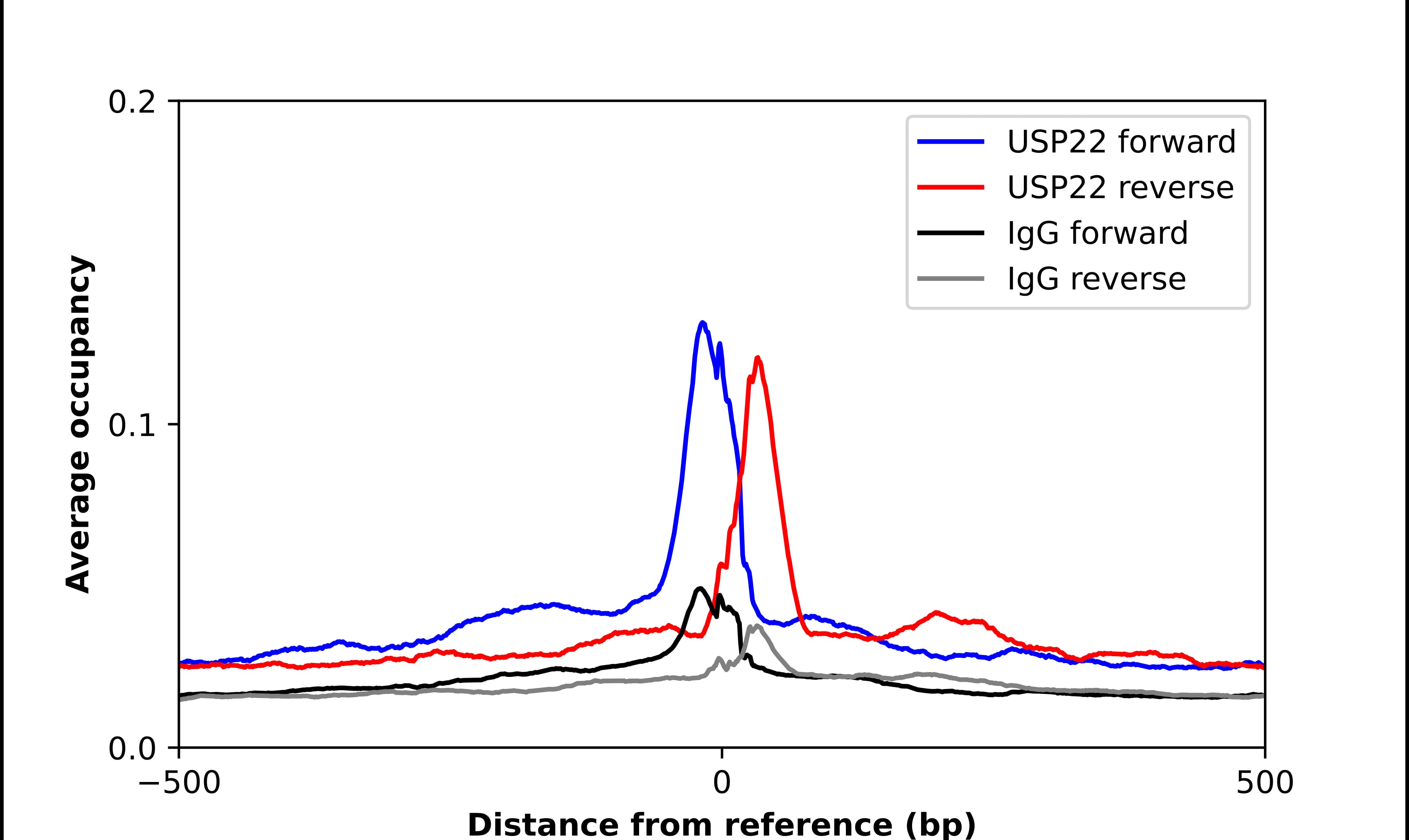 USP22 Antibody - BSA Free Chromatin Immunoprecipitation ChIP: USP22 Antibody - BSA Free