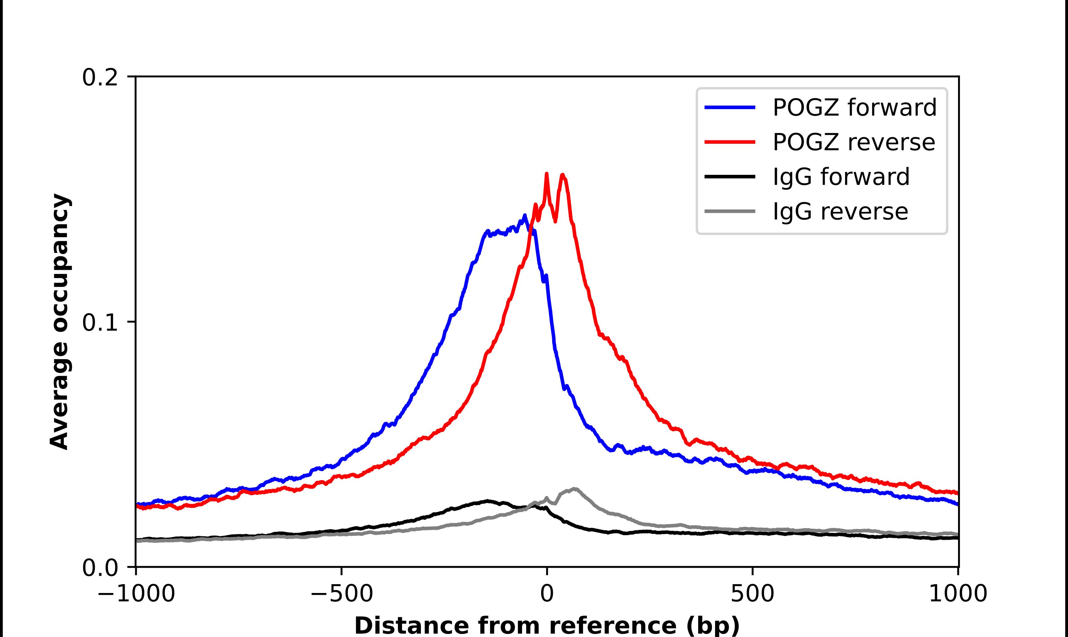 POGZ Antibody - BSA Free Chromatin Immunoprecipitation-exo-Seq: POGZ Antibody - BSA Free [NBP1-83004]
