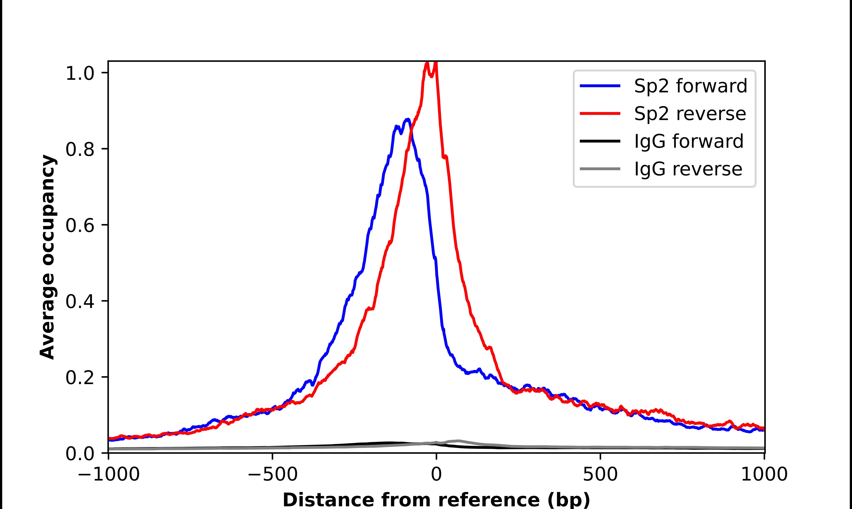 SP2 Antibody - BSA Free Chromatin Immunoprecipitation-exo-Seq: SP2 Antibody - BSA Free [NBP1-83054]