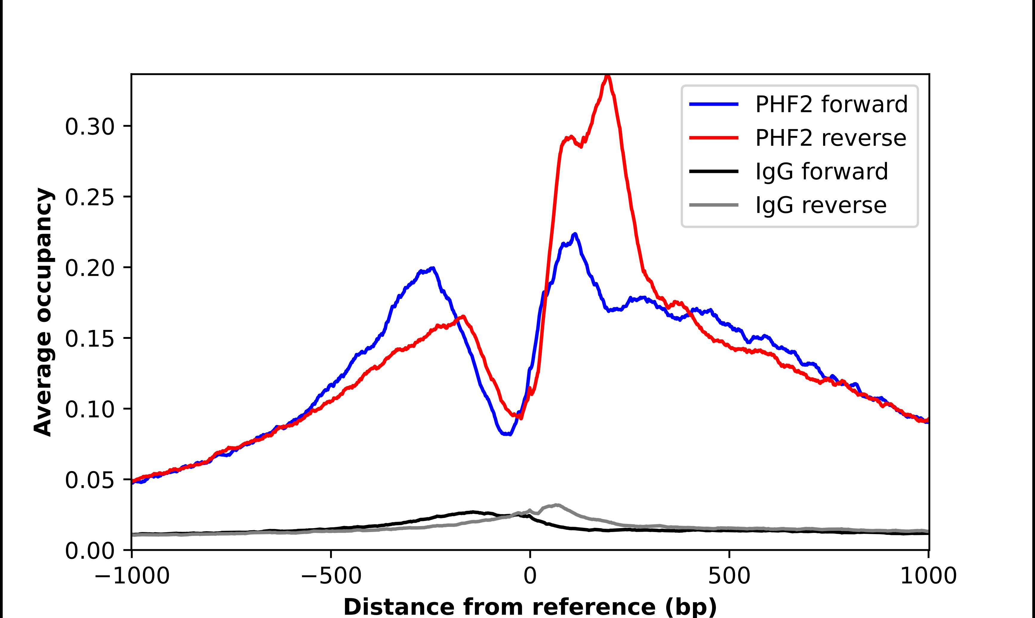 PHF2 Antibody - BSA Free Chromatin Immunoprecipitation ChIP: PHF2 Antibody - BSA Free
