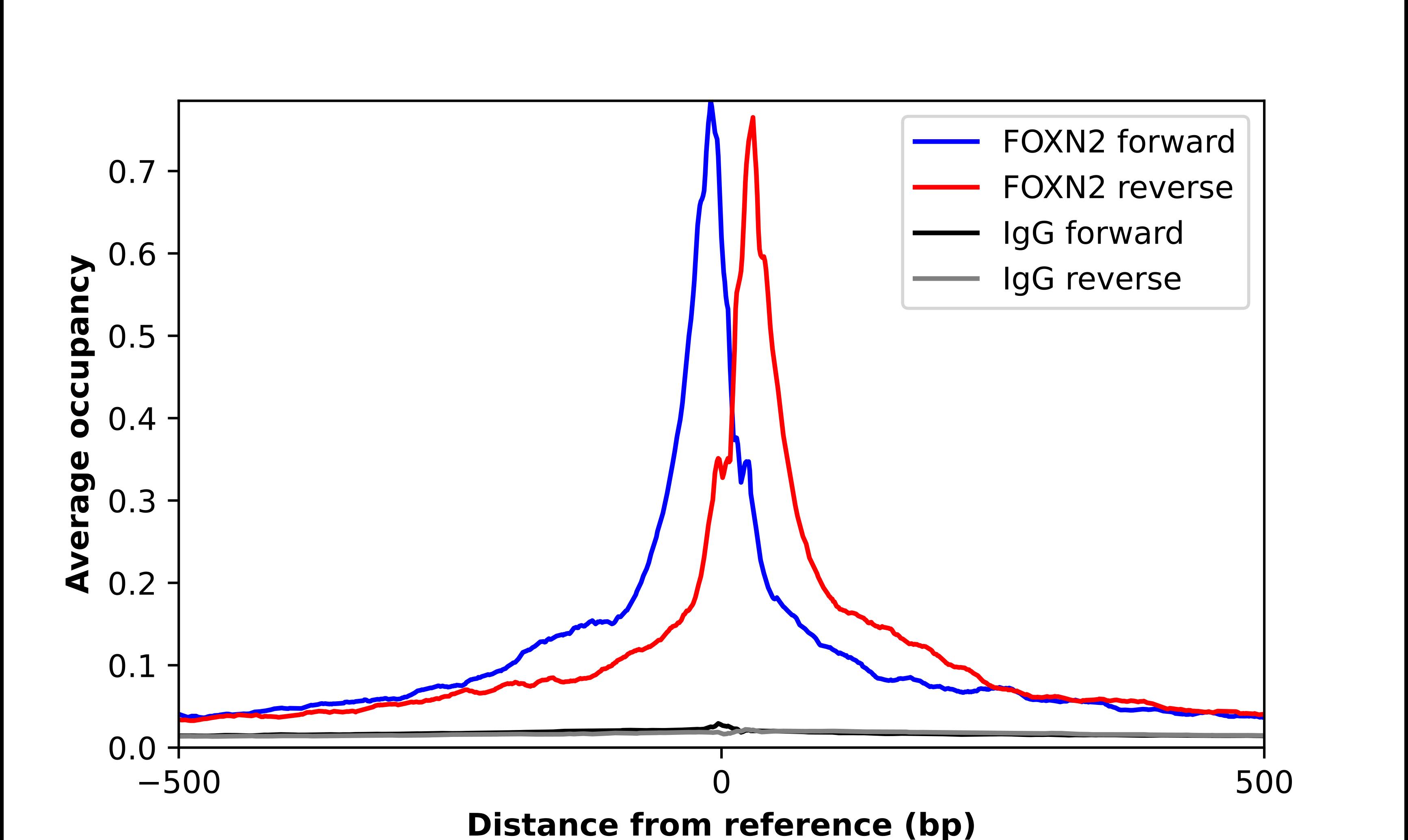 FOXN2 Antibody - BSA Free Chromatin Immunoprecipitation-exo-Seq: FOXN2 Antibody - BSA Free [NBP1-83153]