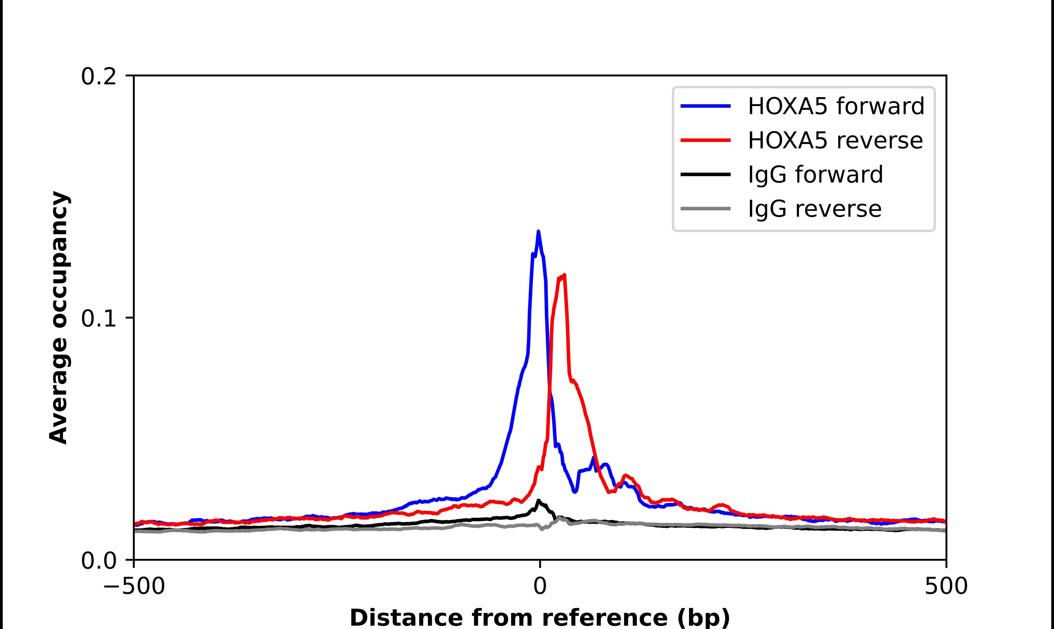 HOXA5 Antibody - BSA Free Chromatin Immunoprecipitation ChIP: HOXA5 Antibody - BSA Free