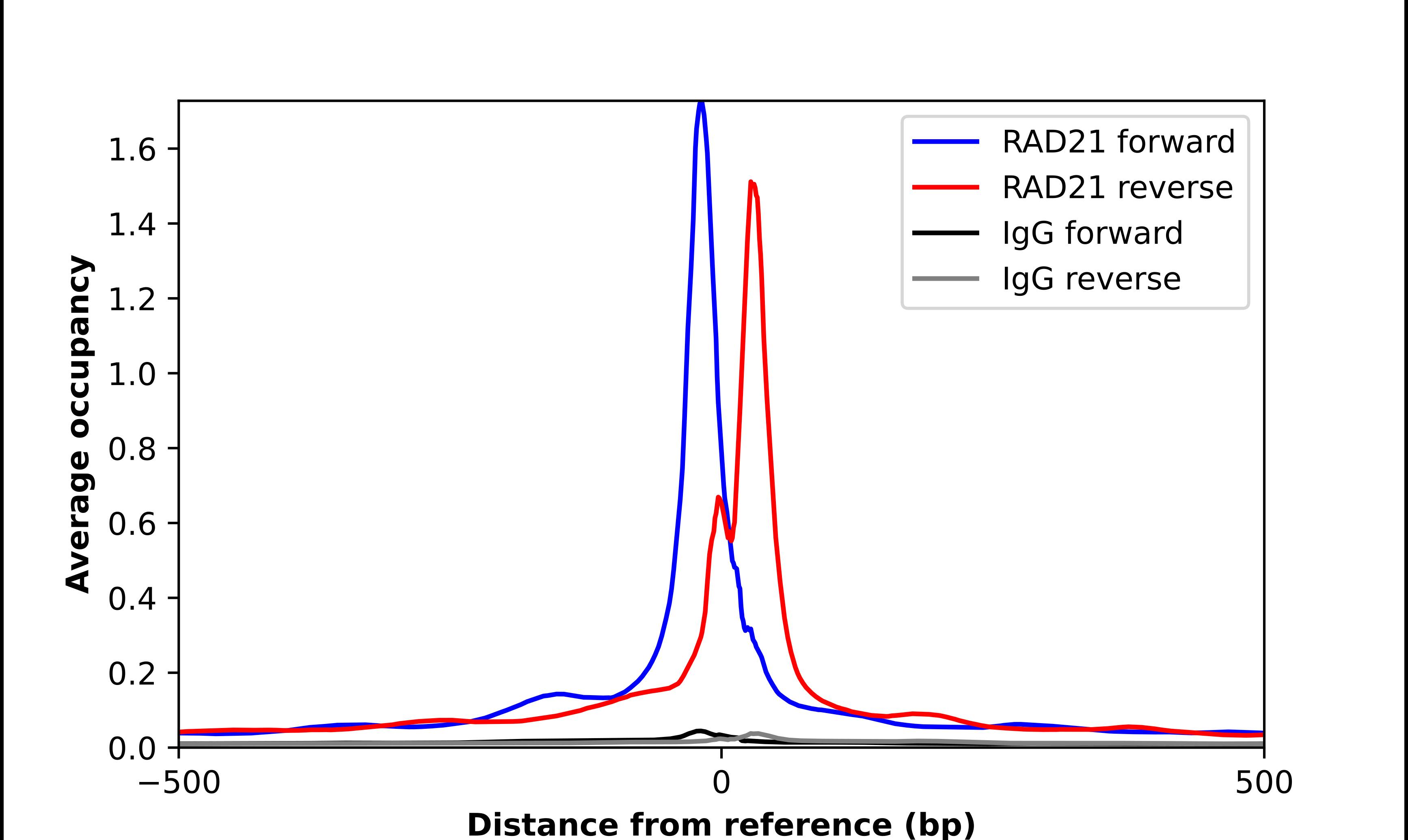 Rad21 Antibody - BSA Free Chromatin Immunoprecipitation-exo-Seq: Rad21 Antibody - BSA Free [NBP1-83260]