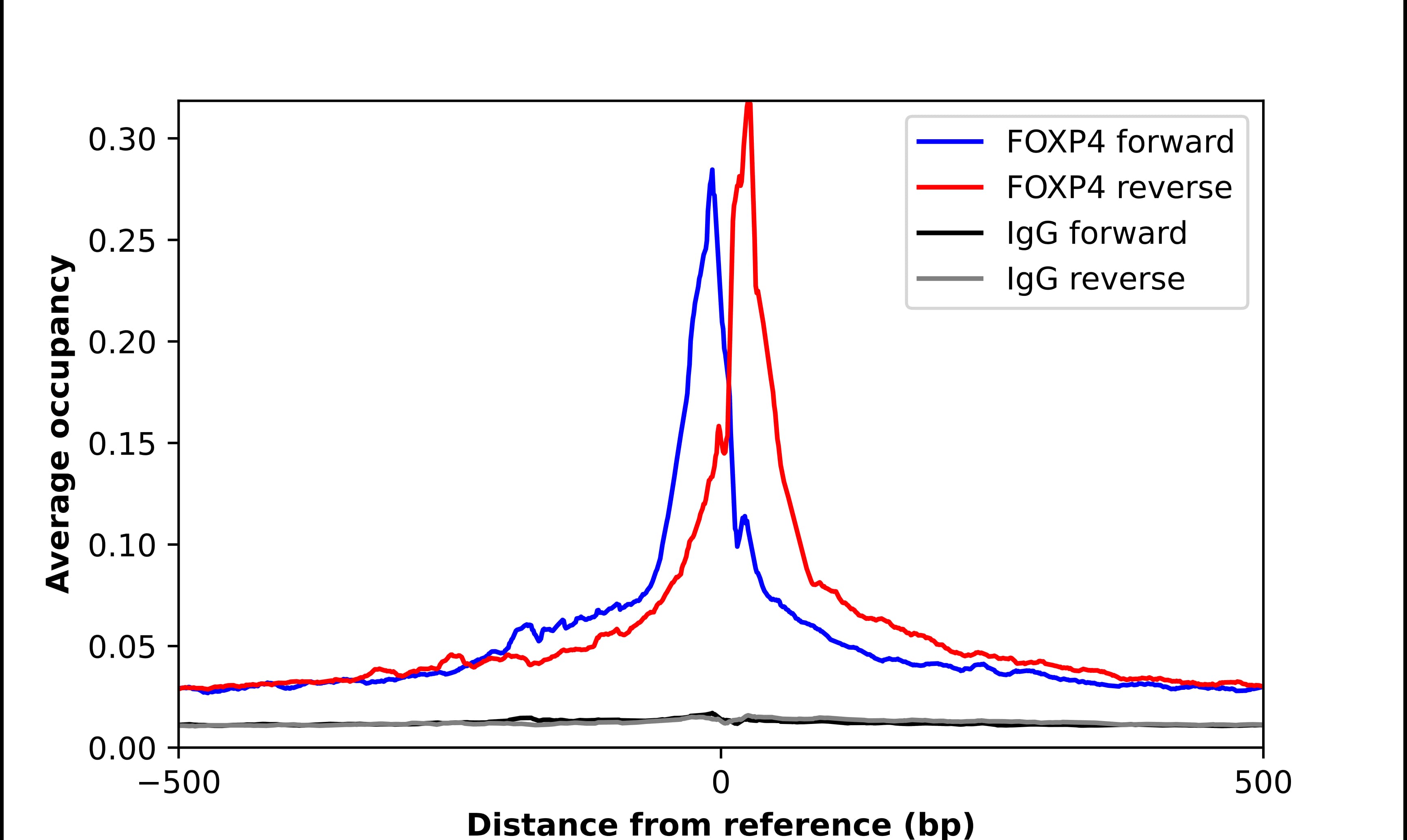 FoxP4 Antibody - BSA Free Chromatin Immunoprecipitation-exo-Seq: FoxP4 Antibody - BSA Free [NBP1-83449]