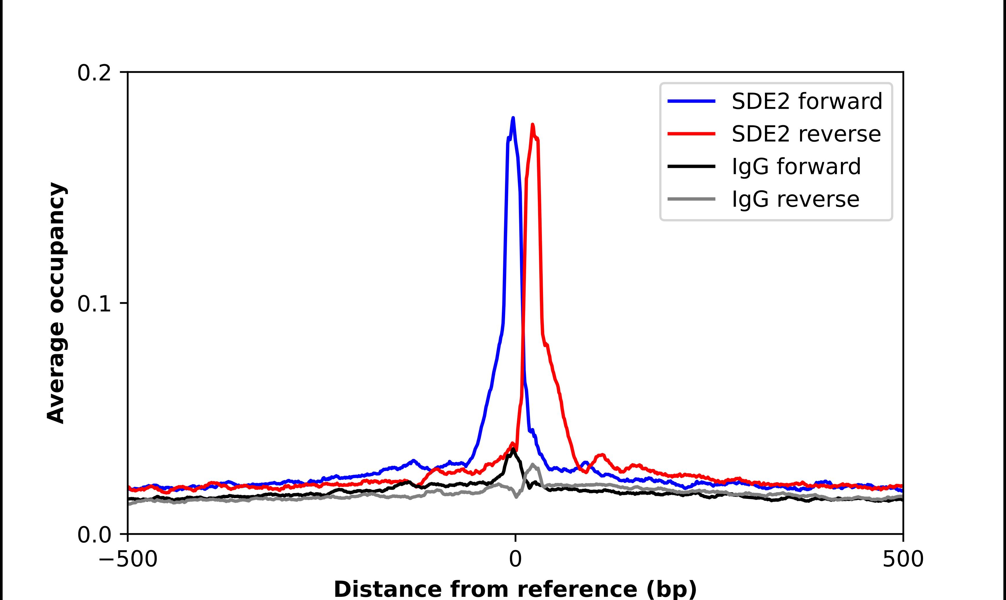 SDE2 Antibody - BSA Free Chromatin Immunoprecipitation ChIP: SDE2 Antibody - BSA Free
