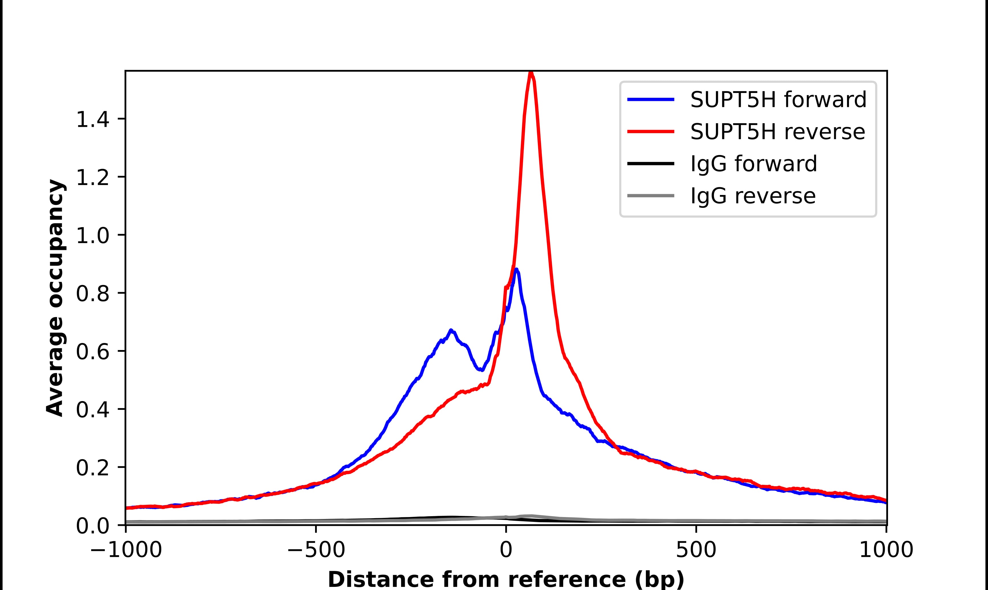 SUPT5H Antibody - BSA Free Chromatin Immunoprecipitation-exo-Seq: SUPT5H Antibody - BSA Free [NBP1-83508]