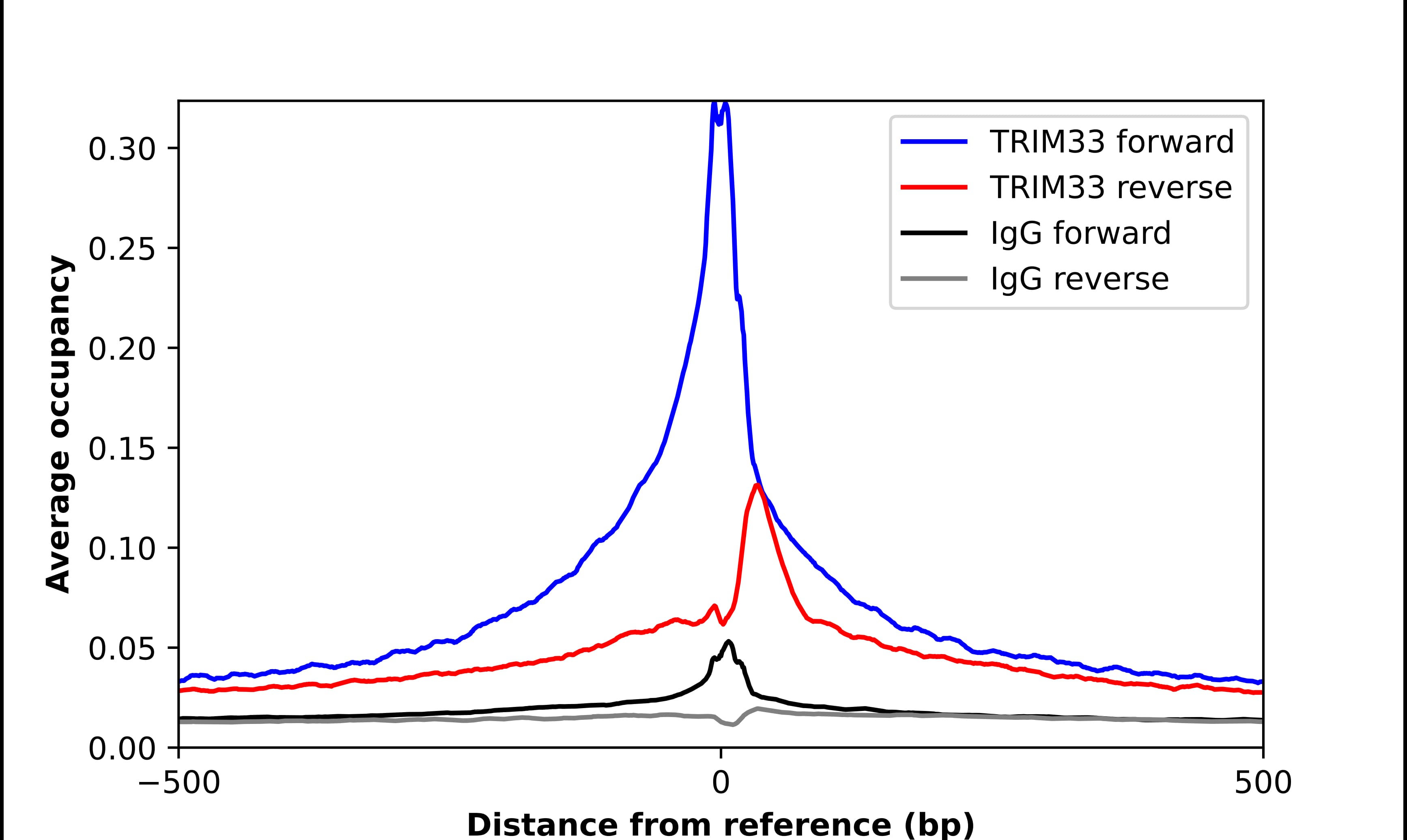 TIF1 gamma Antibody - BSA Free Chromatin Immunoprecipitation ChIP: TIF1 gamma Antibody - BSA Free