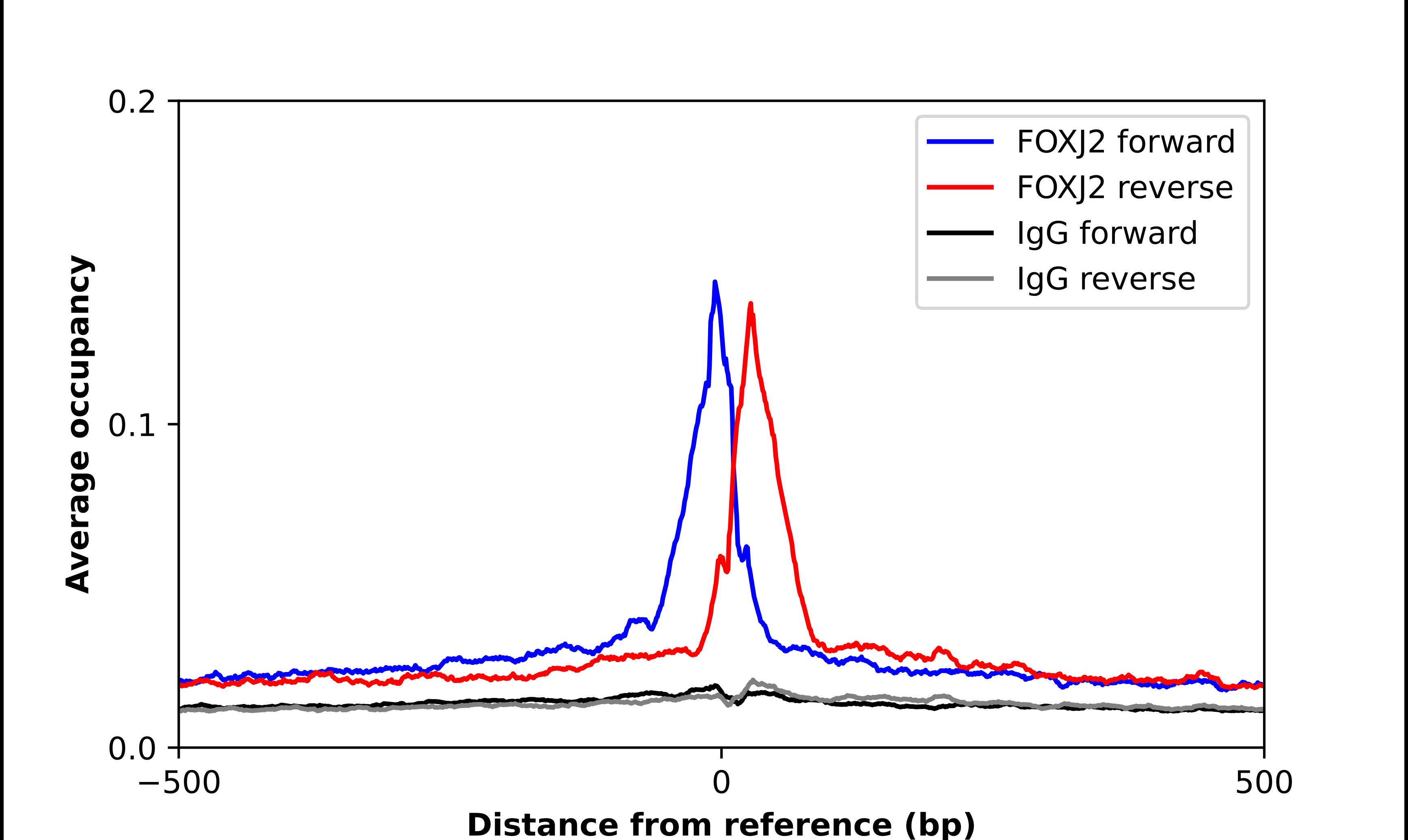 FOXJ2 Antibody - BSA Free Chromatin Immunoprecipitation-exo-Seq: FOXJ2 Antibody - BSA Free [NBP1-83897]