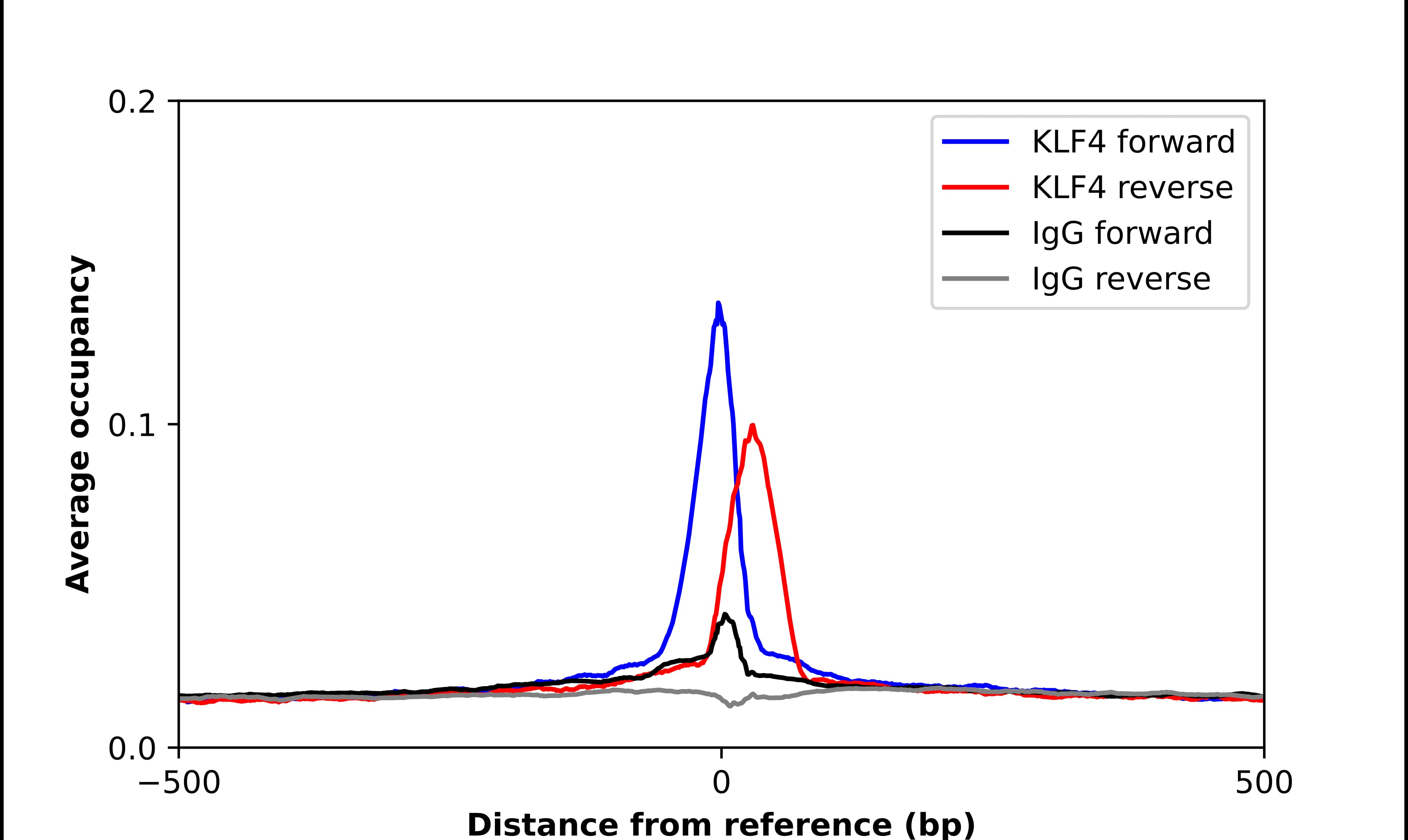 KLF4 Antibody - BSA Free Chromatin Immunoprecipitation-exo-Seq: KLF4 Antibody - BSA Free [NBP1-83940]