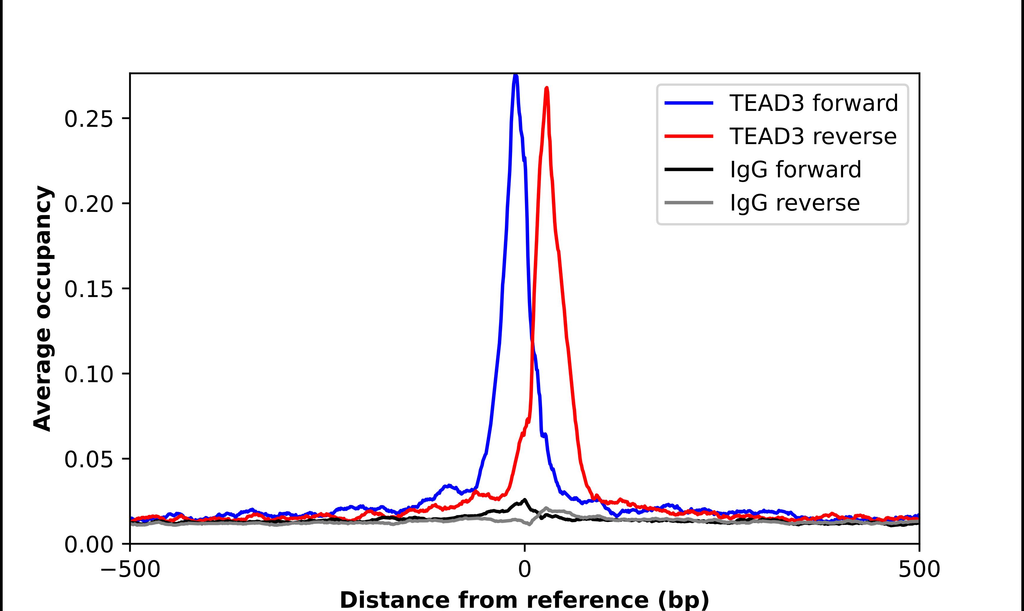 TEAD3 Antibody - BSA Free Chromatin Immunoprecipitation-exo-Seq: TEAD3 Antibody - BSA Free [NBP1-83949]