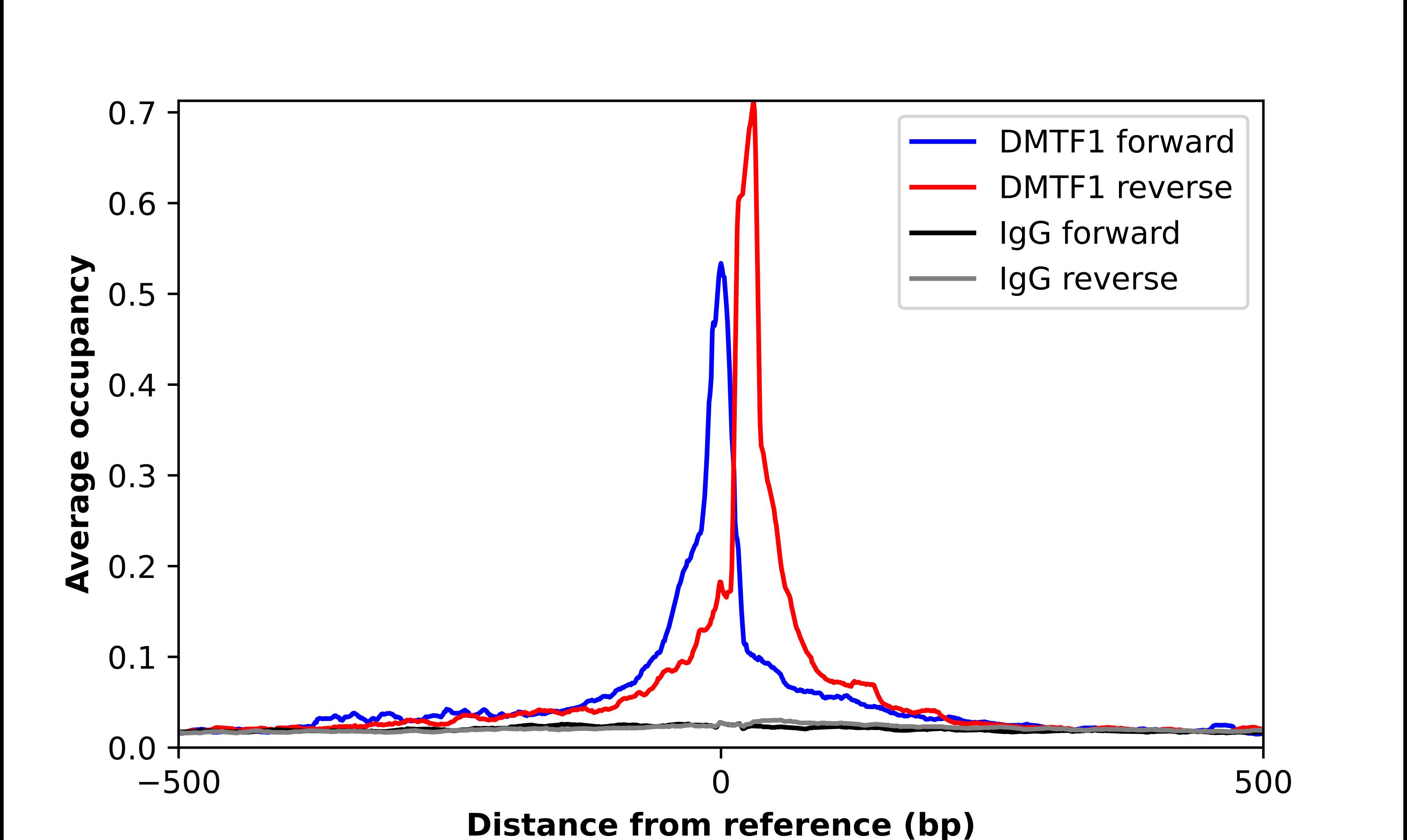 DMTF1 Antibody - BSA Free Chromatin Immunoprecipitation-exo-Seq: DMTF1 Antibody - BSA Free [NBP1-84073]