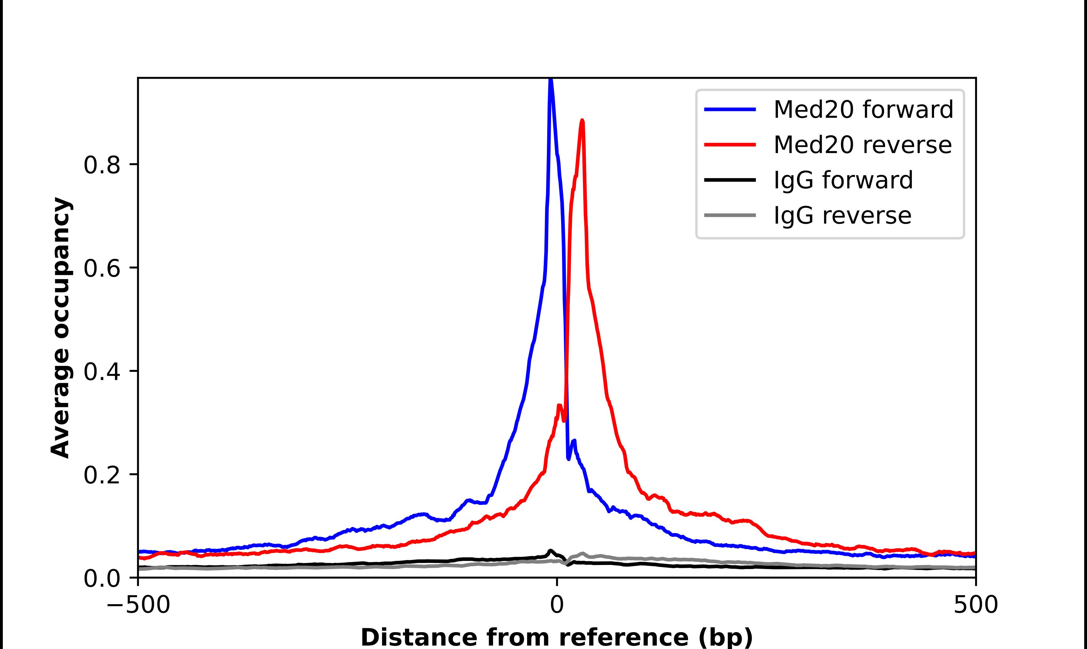 MED20 Antibody - BSA Free Chromatin Immunoprecipitation ChIP: MED20 Antibody - BSA Free