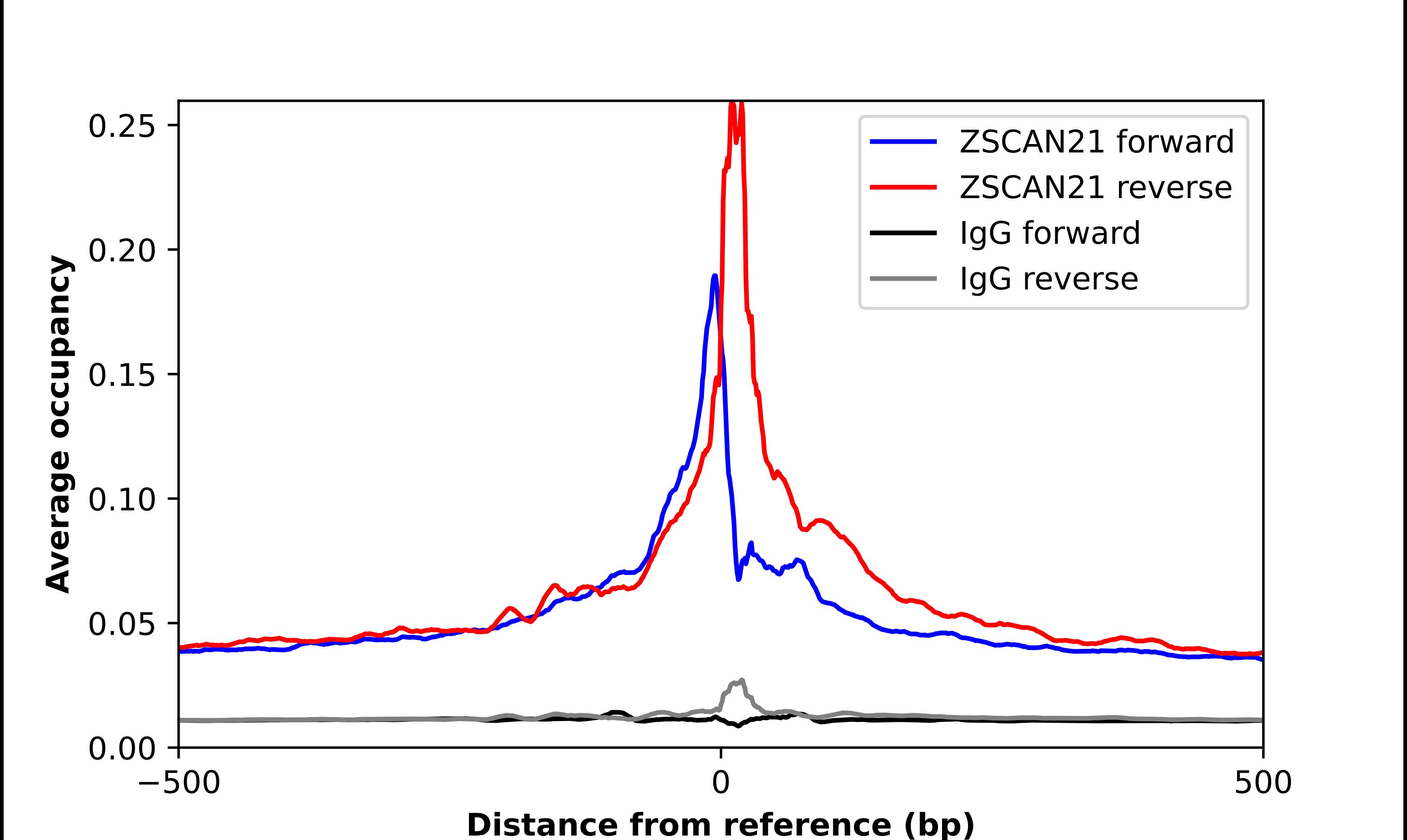 ZSCAN21/ZFP38 Antibody - BSA Free Chromatin Immunoprecipitation-exo-Seq: ZSCAN21/ZFP38 Antibody - BSA Free [NBP1-84182]