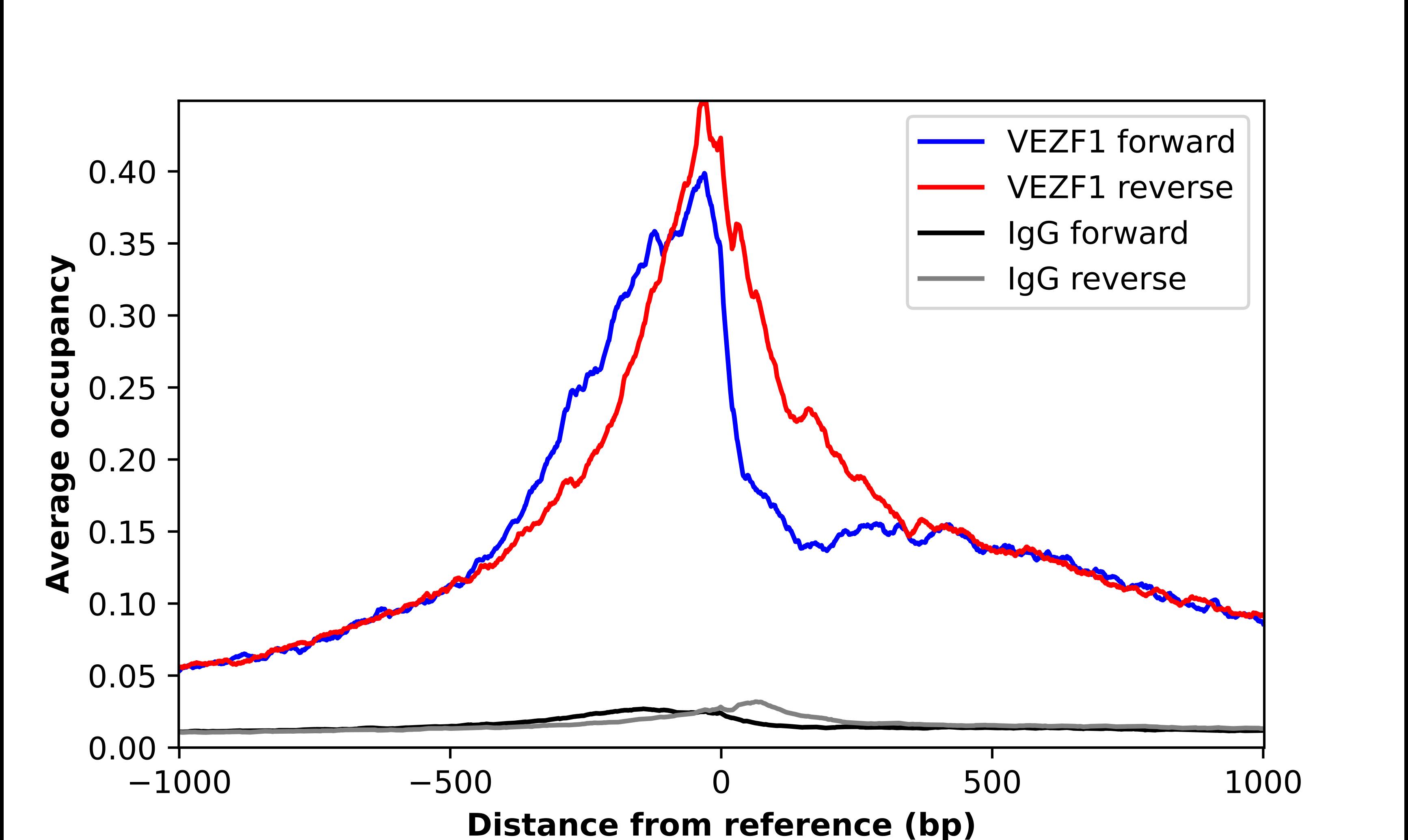 VEZF1 Antibody - BSA Free Chromatin Immunoprecipitation ChIP: VEZF1 Antibody - BSA Free
