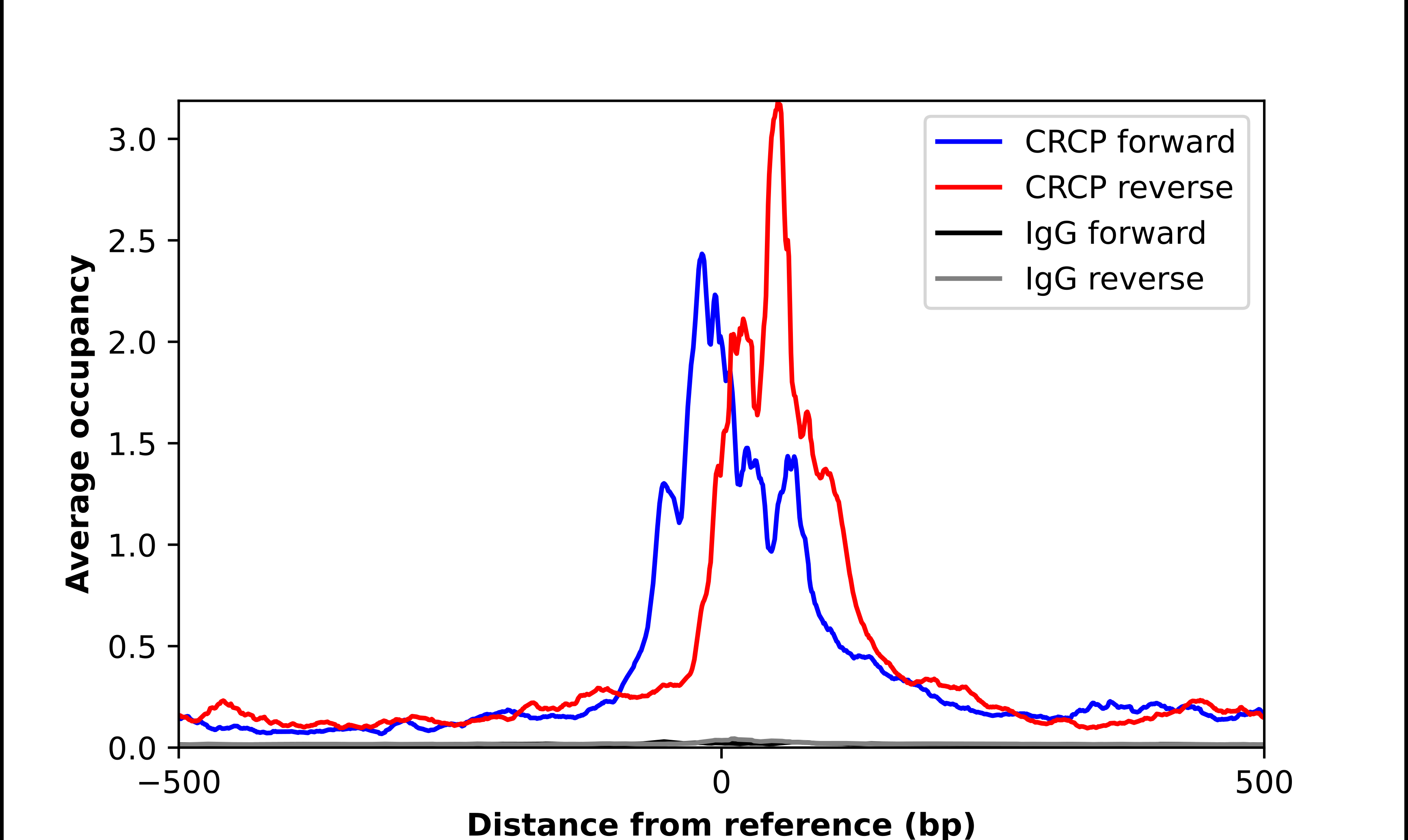 CRCP Antibody - BSA Free Chromatin Immunoprecipitation ChIP: CRCP Antibody - BSA Free