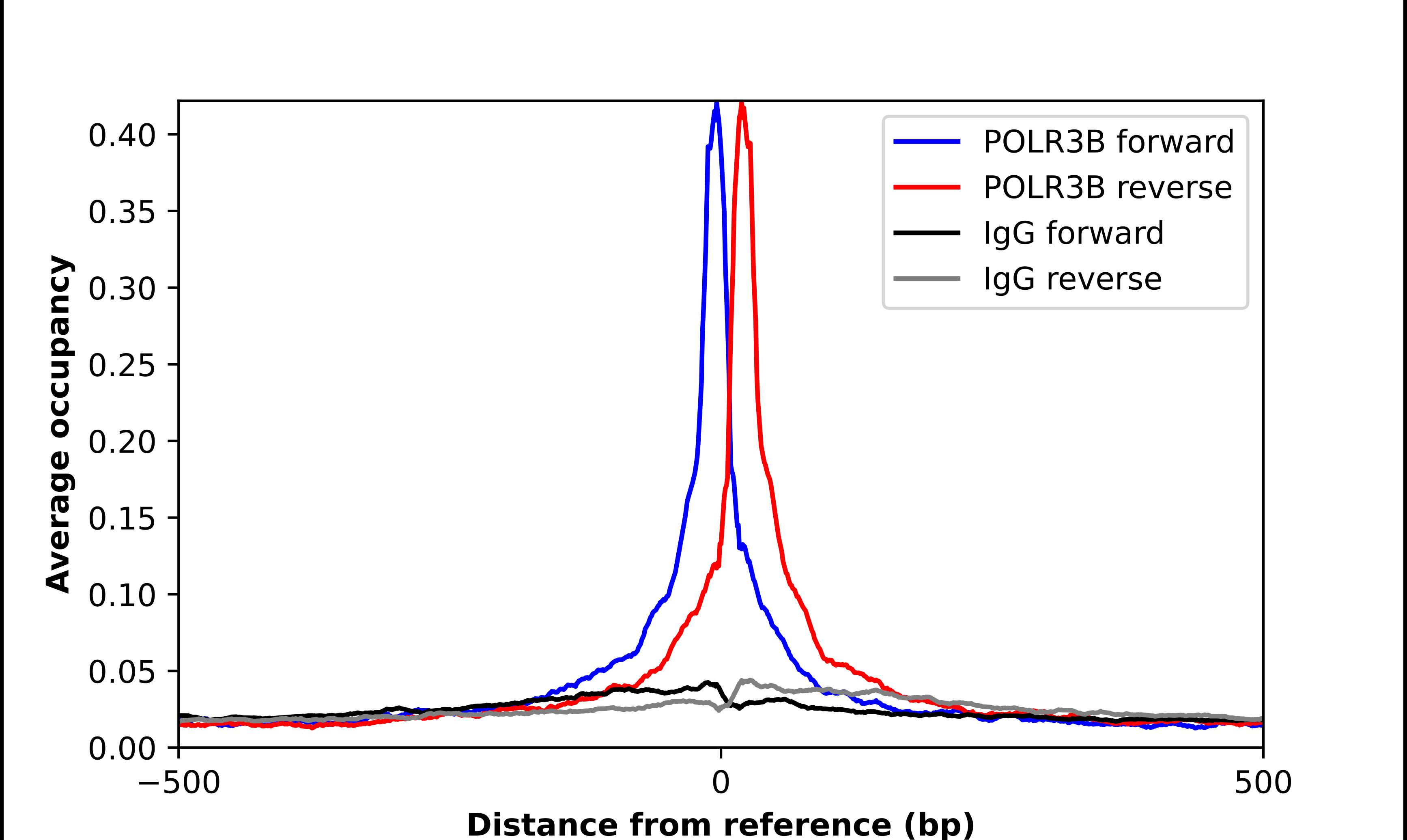 POLR3B Antibody - BSA Free Chromatin Immunoprecipitation-exo-Seq: POLR3B Antibody - BSA Free [NBP1-84628]