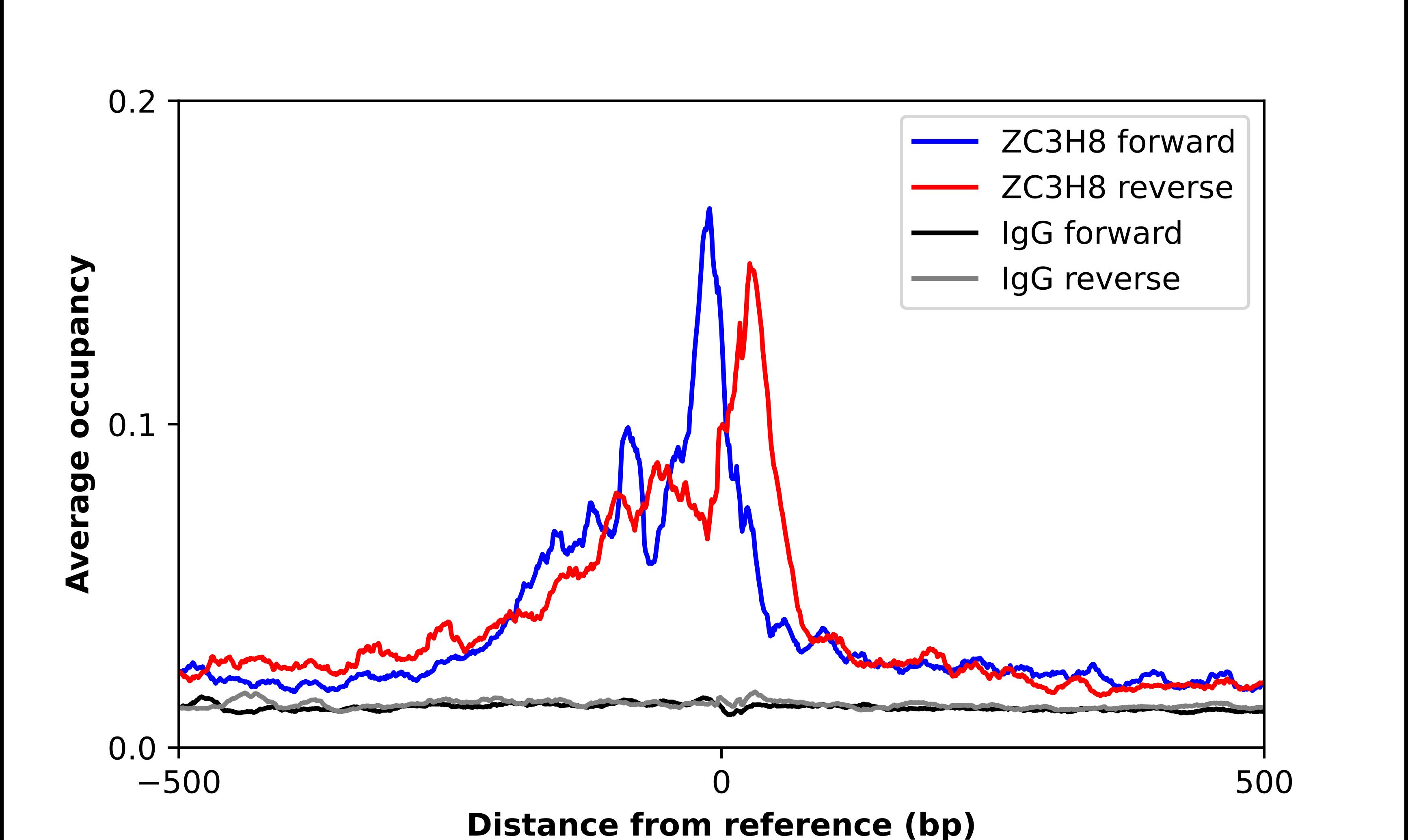 ZC3H8 Antibody - BSA Free Chromatin Immunoprecipitation-exo-Seq: ZC3H8 Antibody - BSA Free [NBP1-84661]