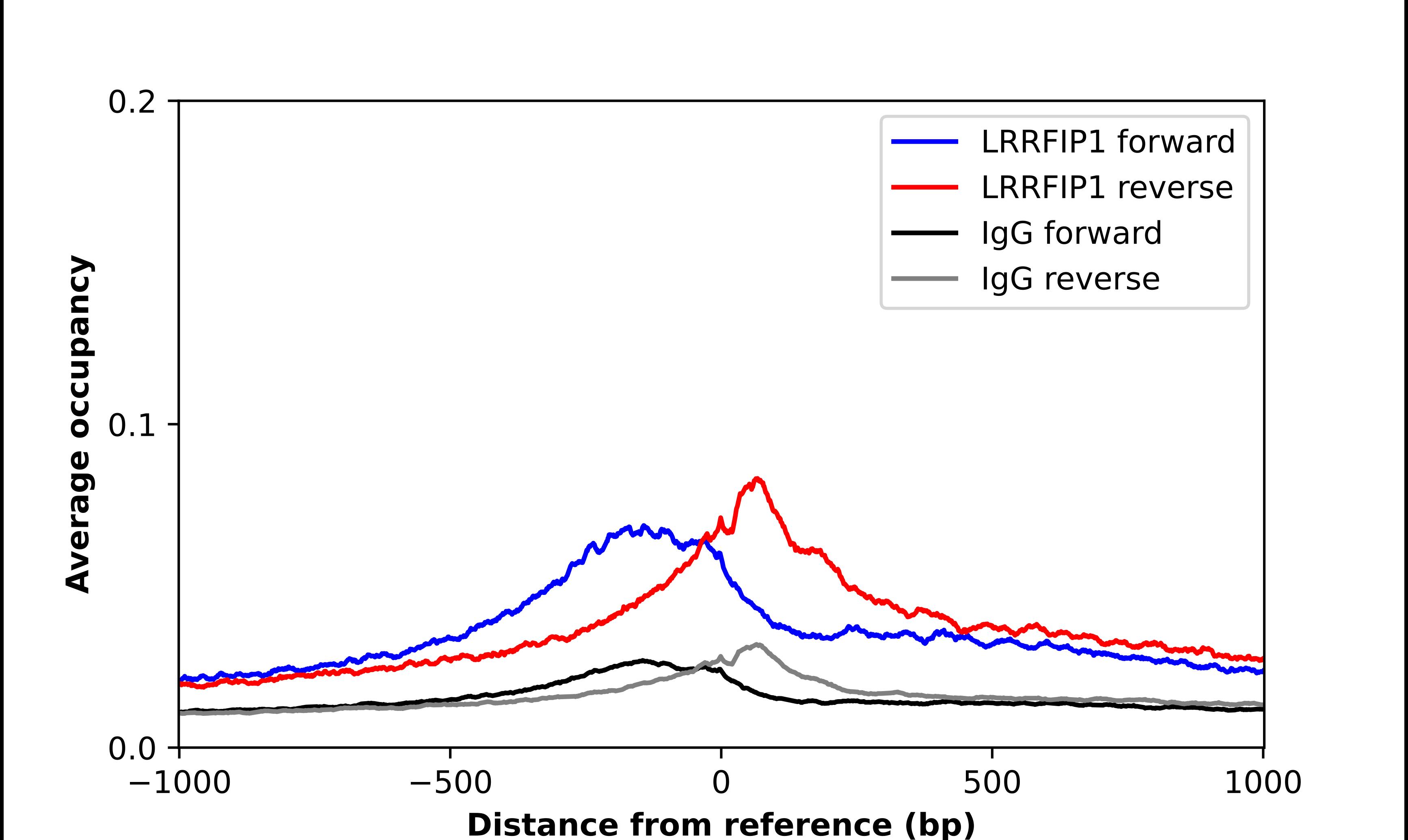 LRRFIP1 Antibody - BSA Free Chromatin Immunoprecipitation-exo-Seq: LRRFIP1 Antibody - BSA Free [NBP1-84665]