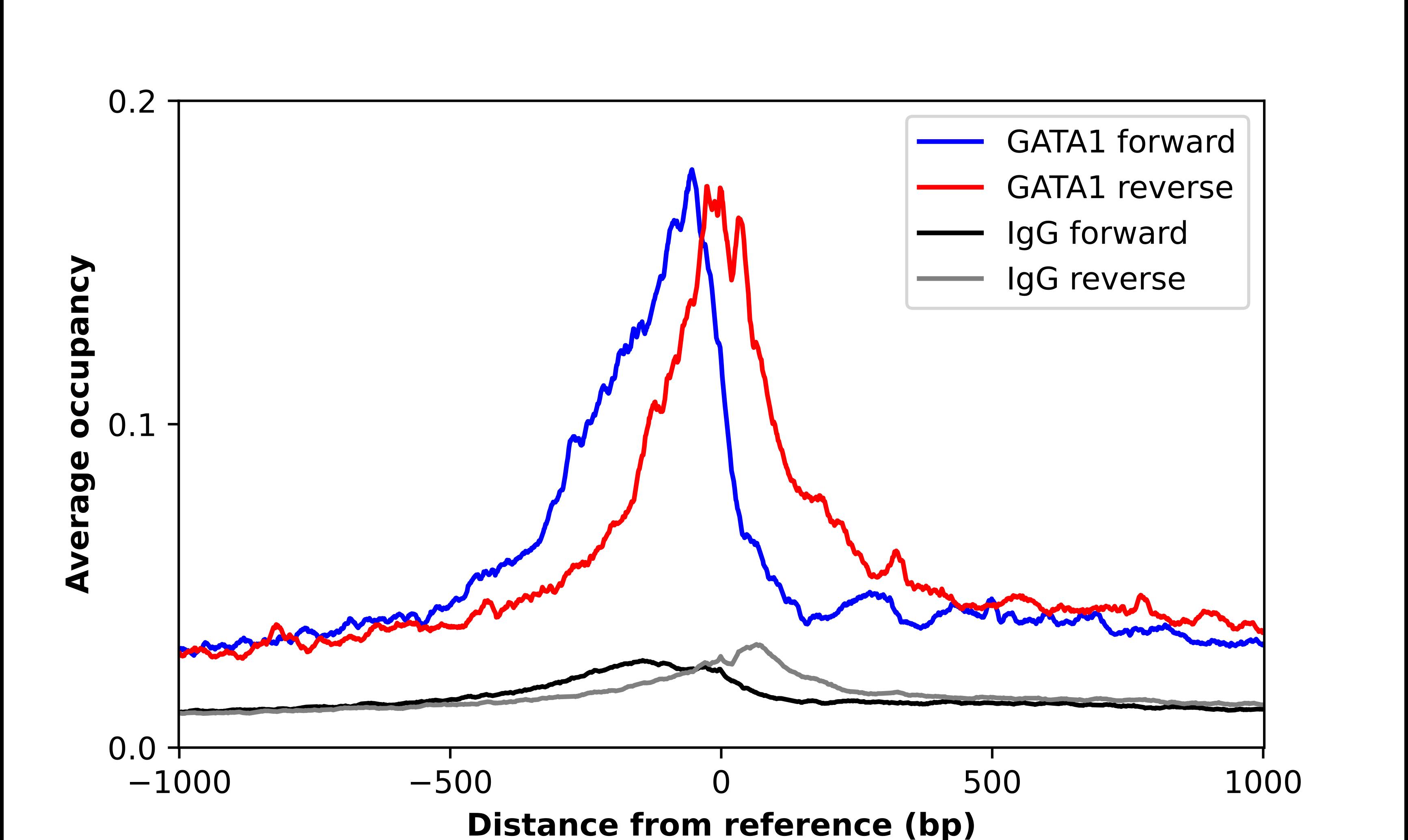 GATA-1 Antibody - BSA Free Chromatin Immunoprecipitation-exo-Seq: GATA-1 Antibody - BSA Free [NBP1-84793]