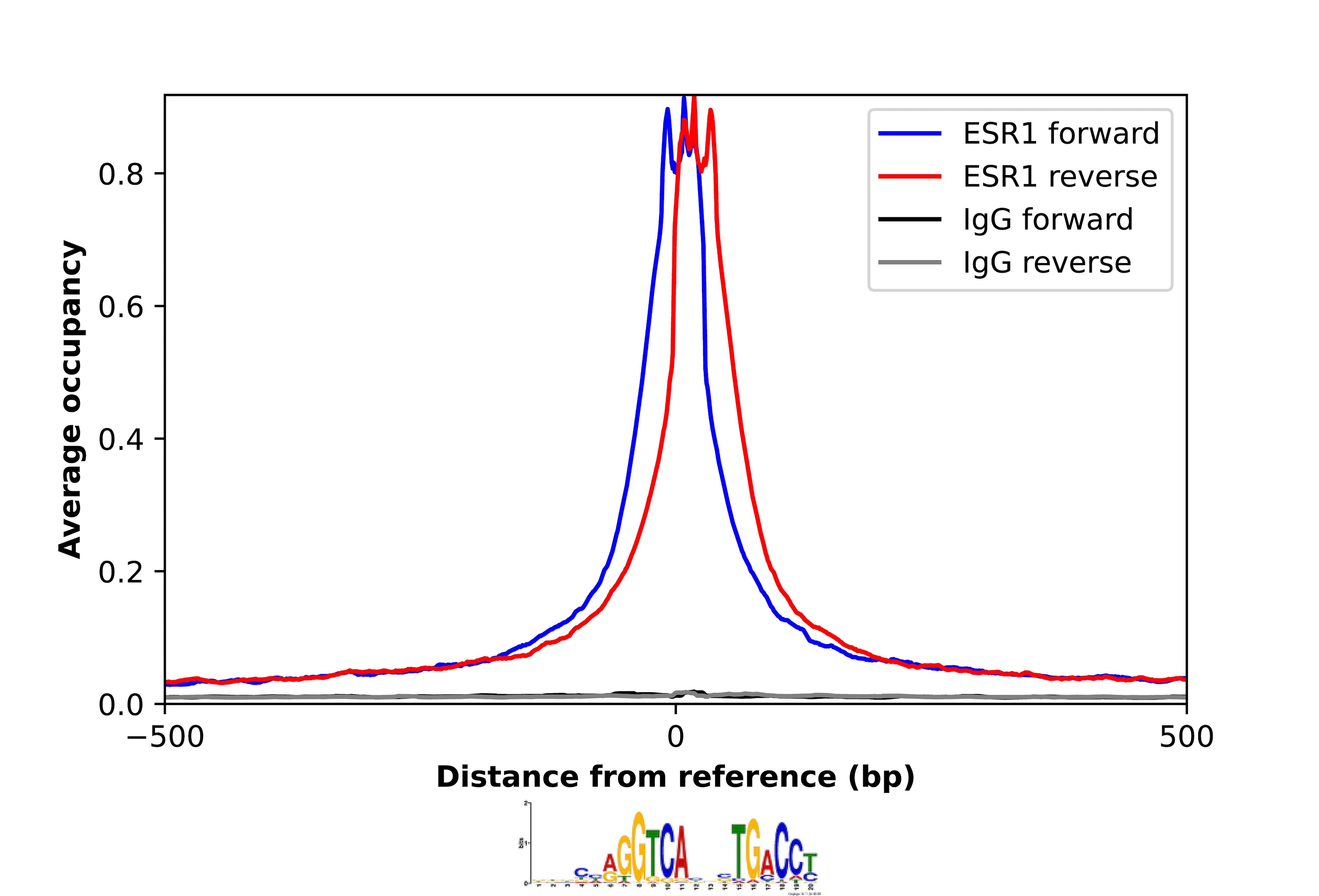 ER alpha/NR3A1 Antibody - BSA Free Chromatin Immunoprecipitation-exo-Seq: ER alpha/NR3A1 Antibody - BSA Free [NBP1-84826]