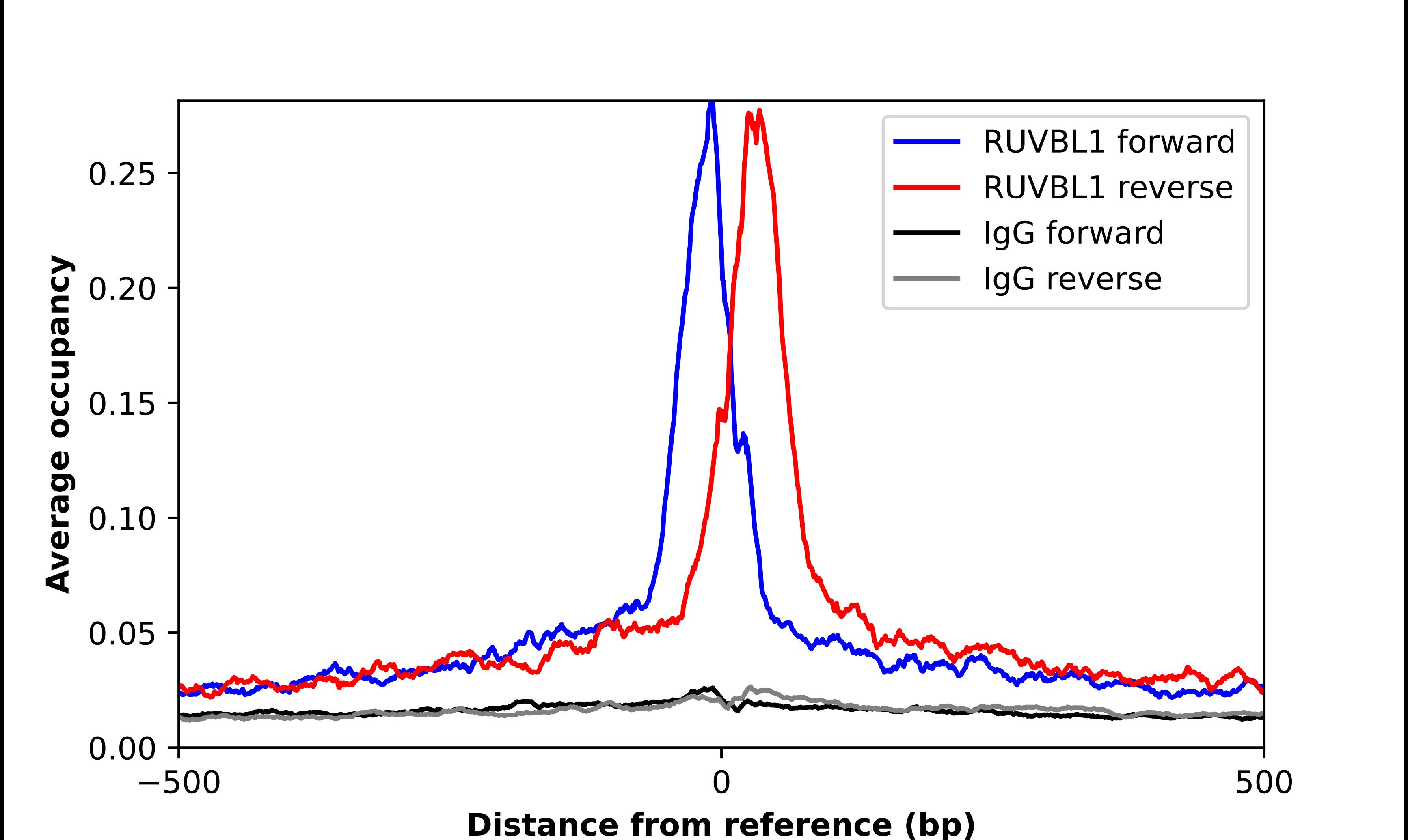 RUVBL1 Antibody - BSA Free Chromatin Immunoprecipitation-exo-Seq: RUVBL1 Antibody - BSA Free [NBP1-84913]