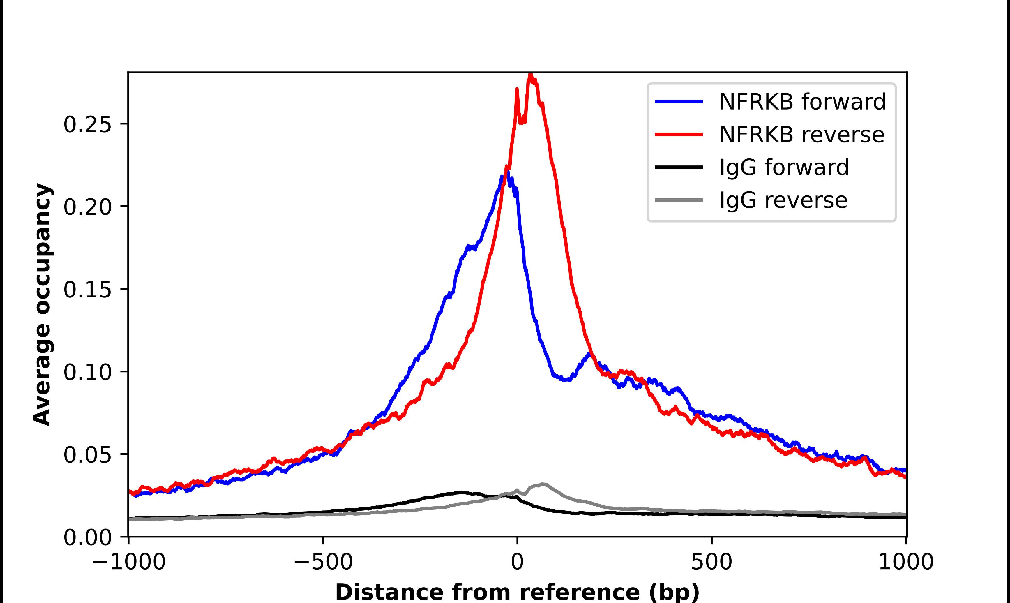 NFRKB Antibody - BSA Free Chromatin Immunoprecipitation-exo-Seq: NFRKB Antibody - BSA Free [NBP1-85095]