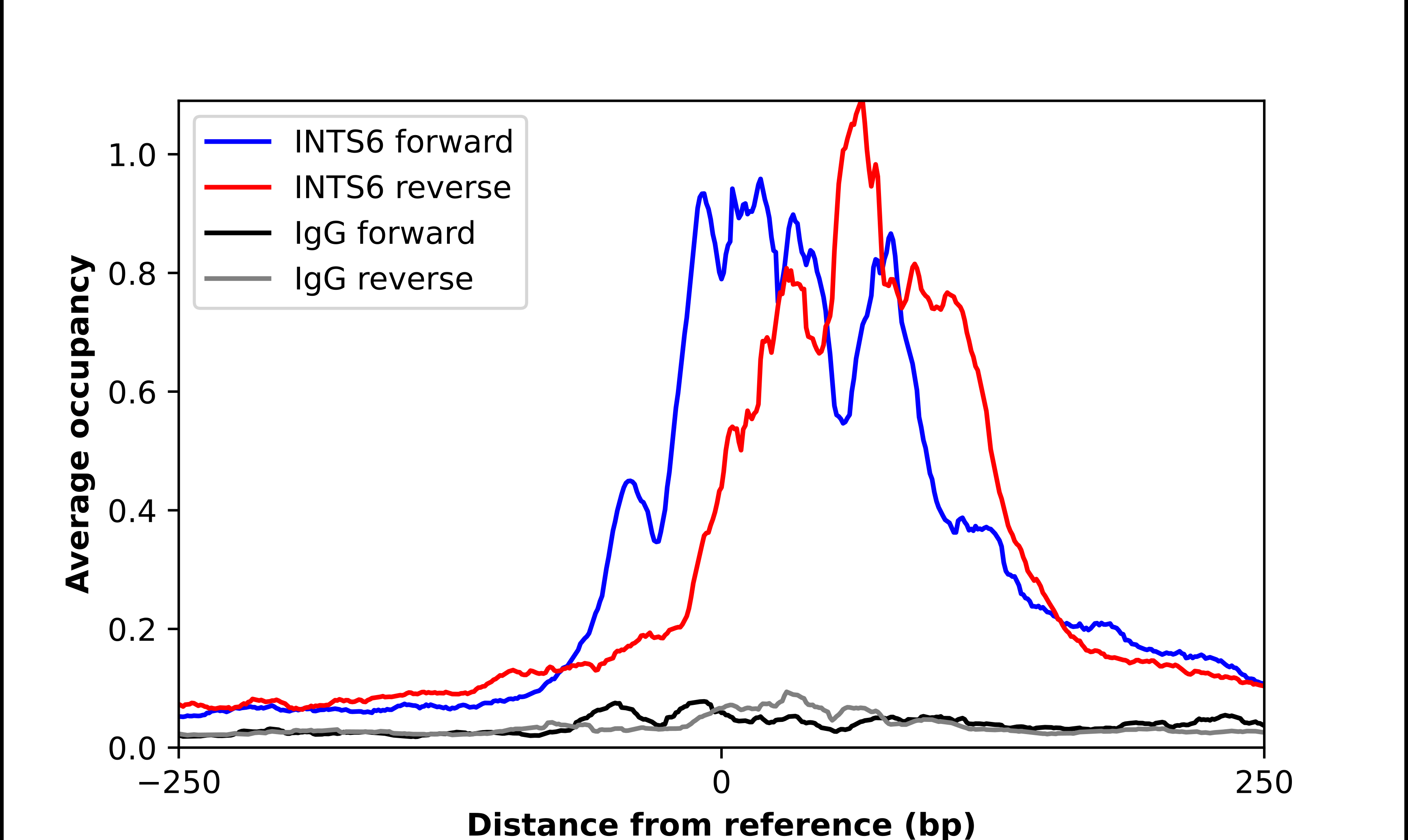 INTS6 Antibody - BSA Free Chromatin Immunoprecipitation ChIP: INTS6 Antibody - BSA Free