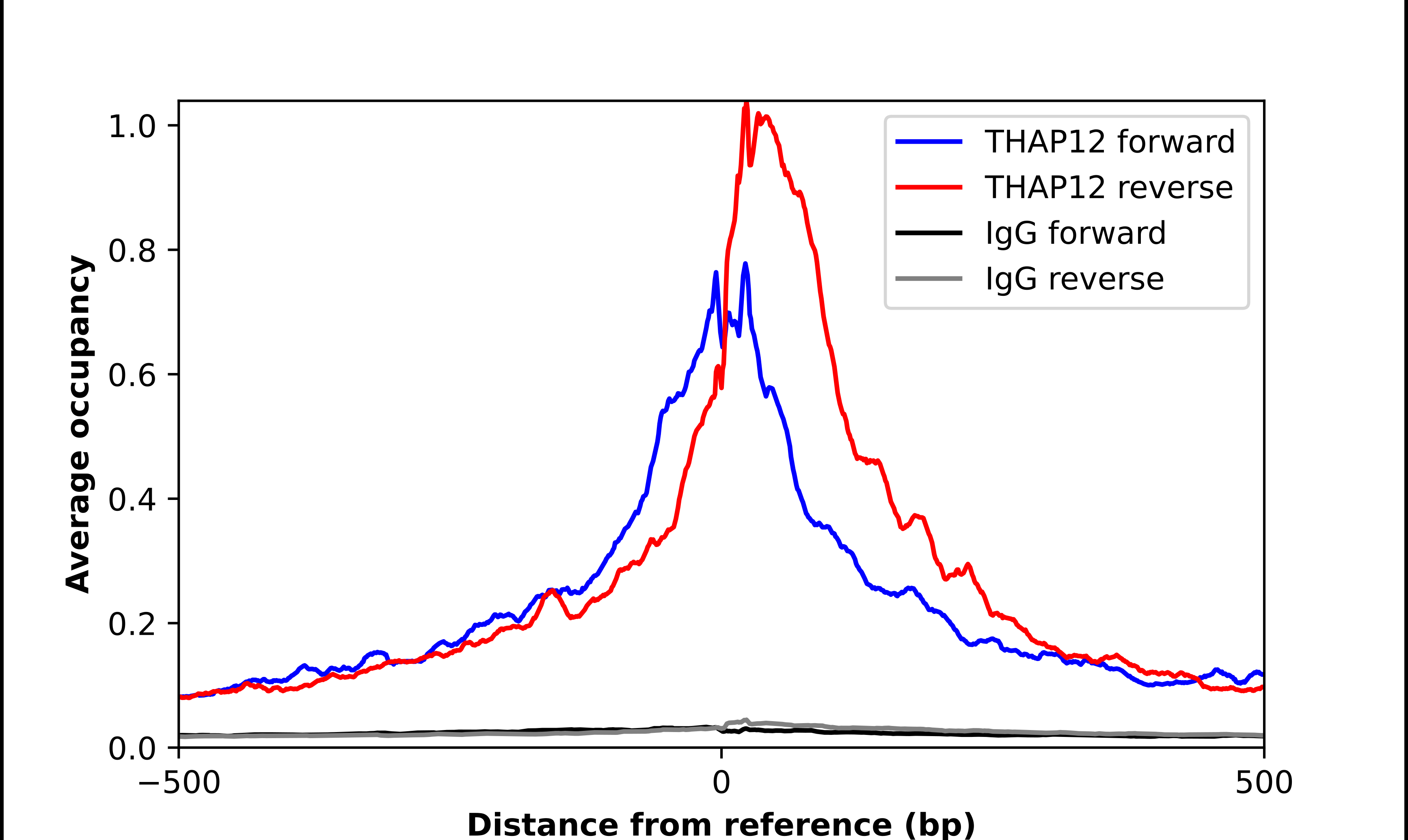 PRKRIR Antibody - BSA Free Chromatin Immunoprecipitation ChIP: PRKRIR Antibody - BSA Free