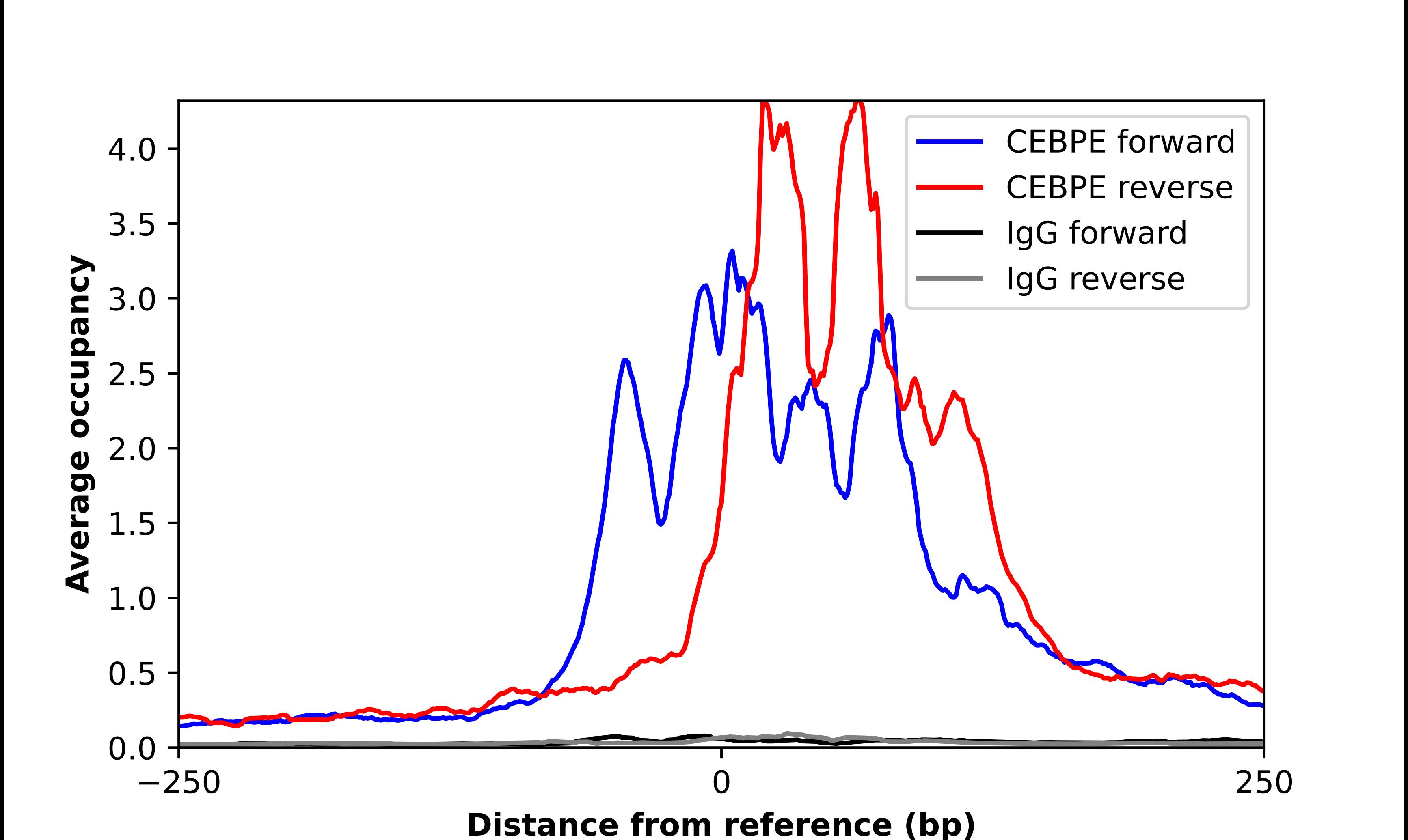 Cebp CEBP epsilon Antibody - BSA Free (NBP1-85446) by Novus, Part of Bio-Techne