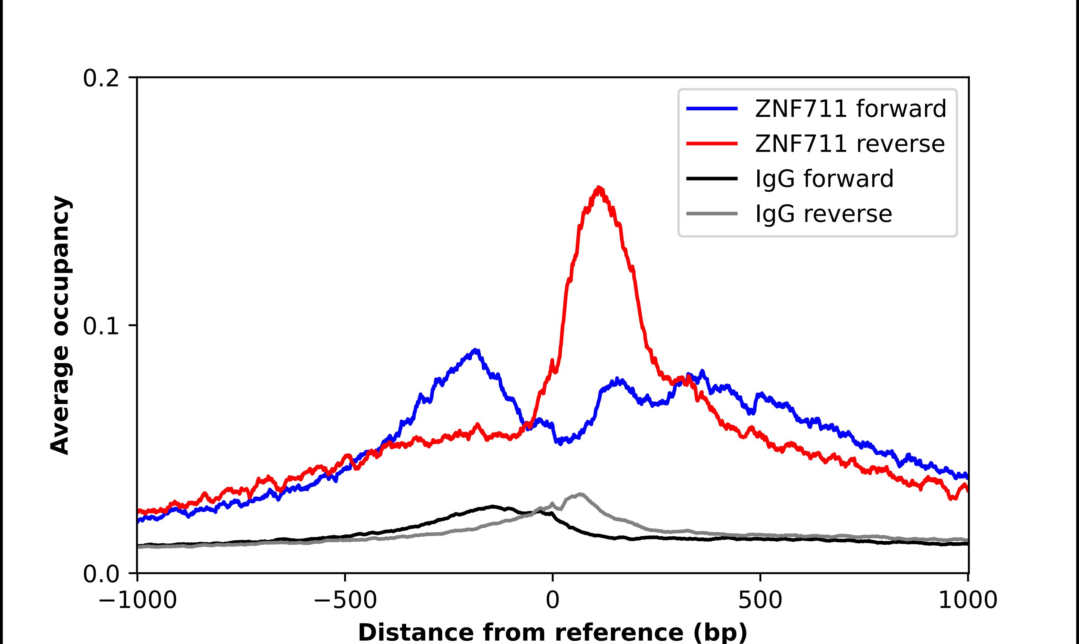 ZNF711 Antibody - BSA Free Chromatin Immunoprecipitation-exo-Seq: ZNF711 Antibody - BSA Free [NBP1-85538]