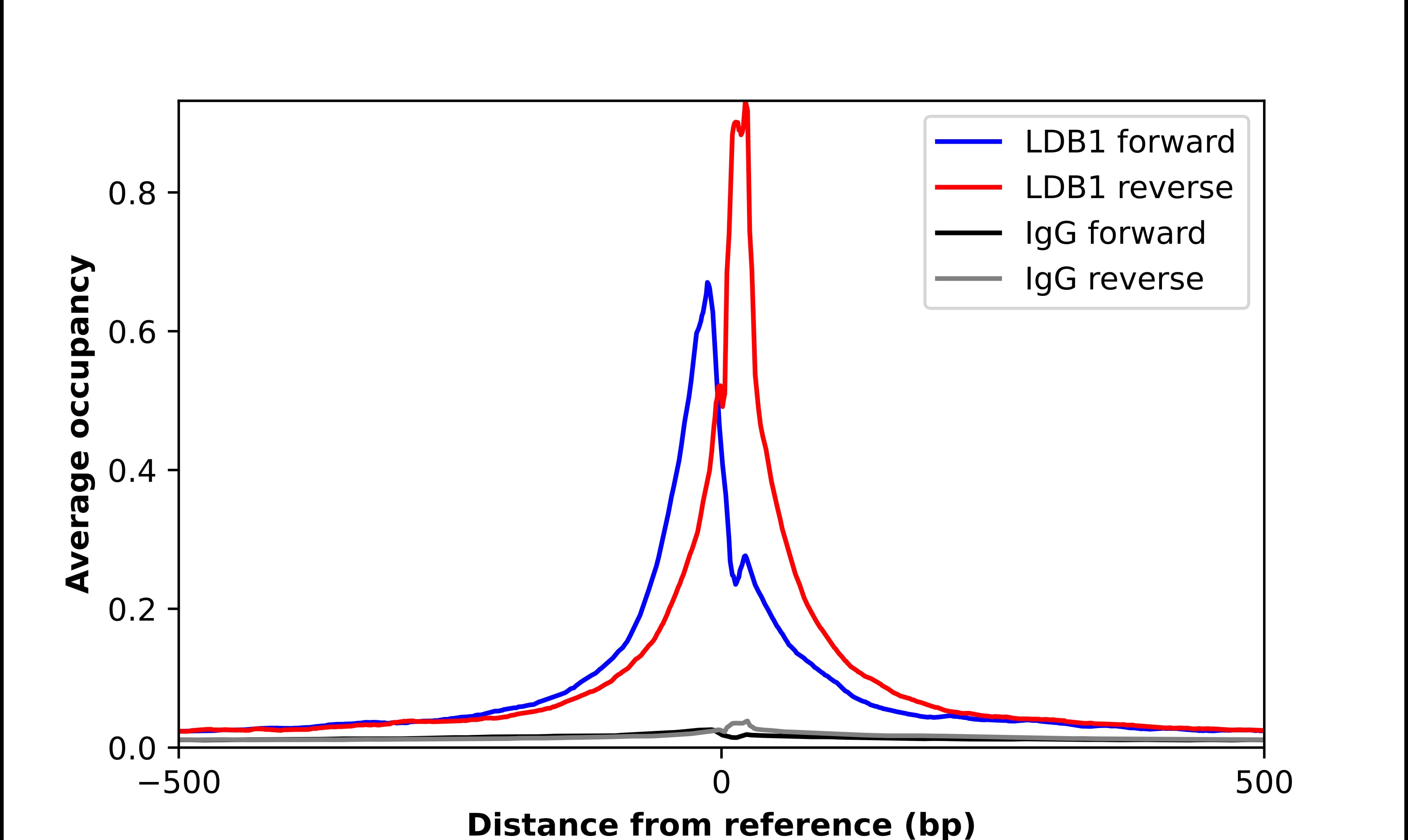 LDB1 Antibody - BSA Free Chromatin Immunoprecipitation-exo-Seq: LDB1 Antibody - BSA Free [NBP1-85573]