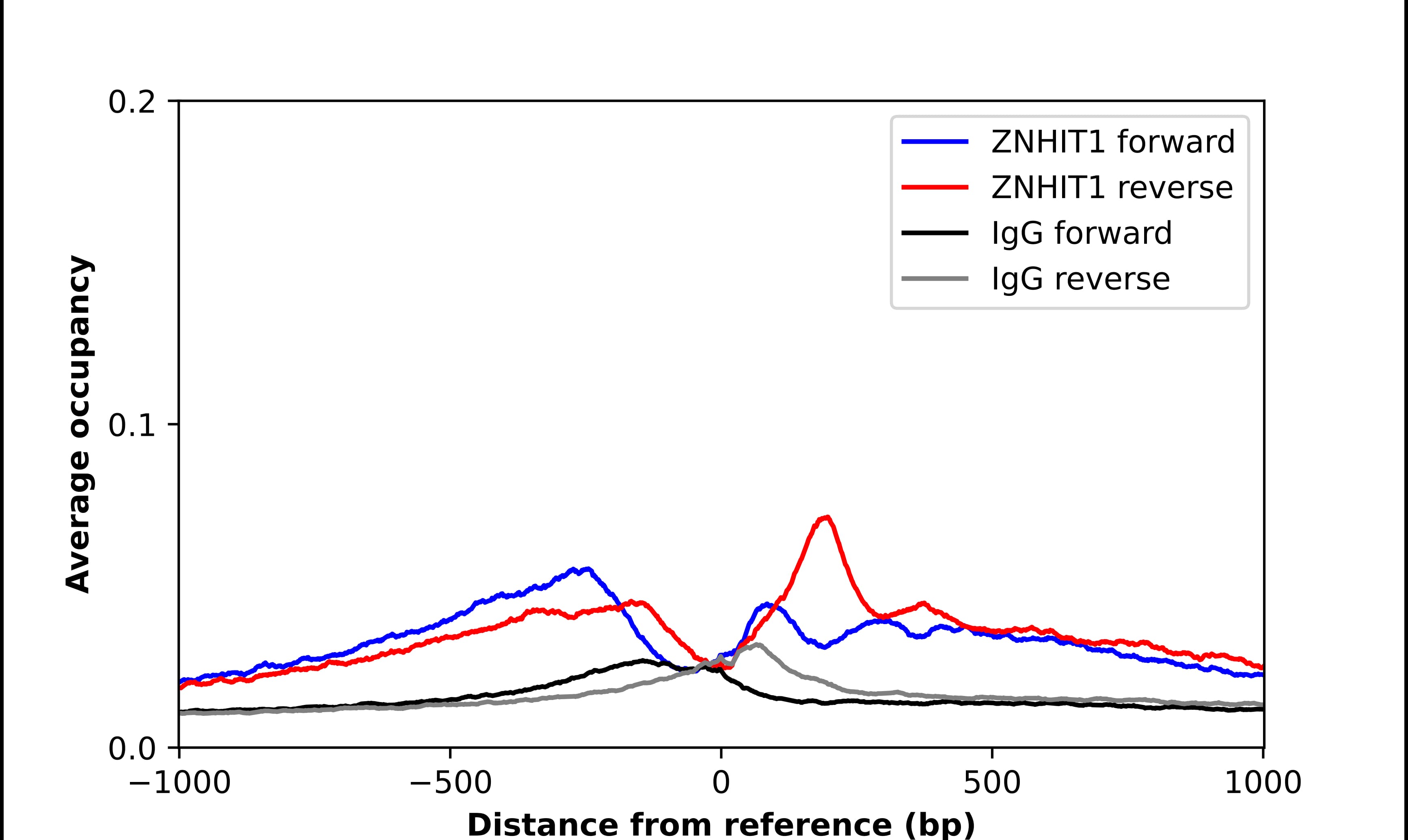 ZNHIT1 Antibody - BSA Free Chromatin Immunoprecipitation ChIP: ZNHIT1 Antibody - BSA Free